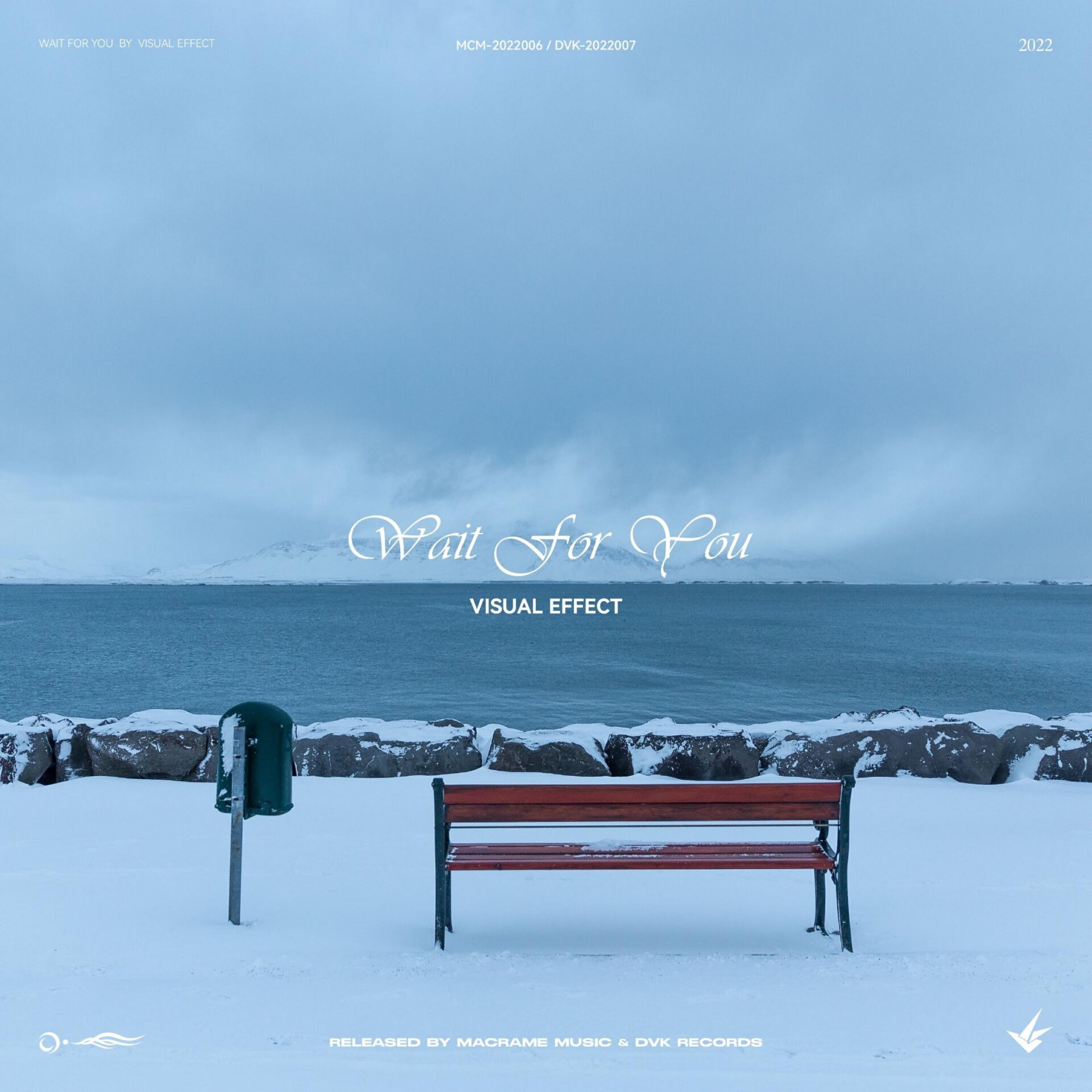 Релиз Wait for You