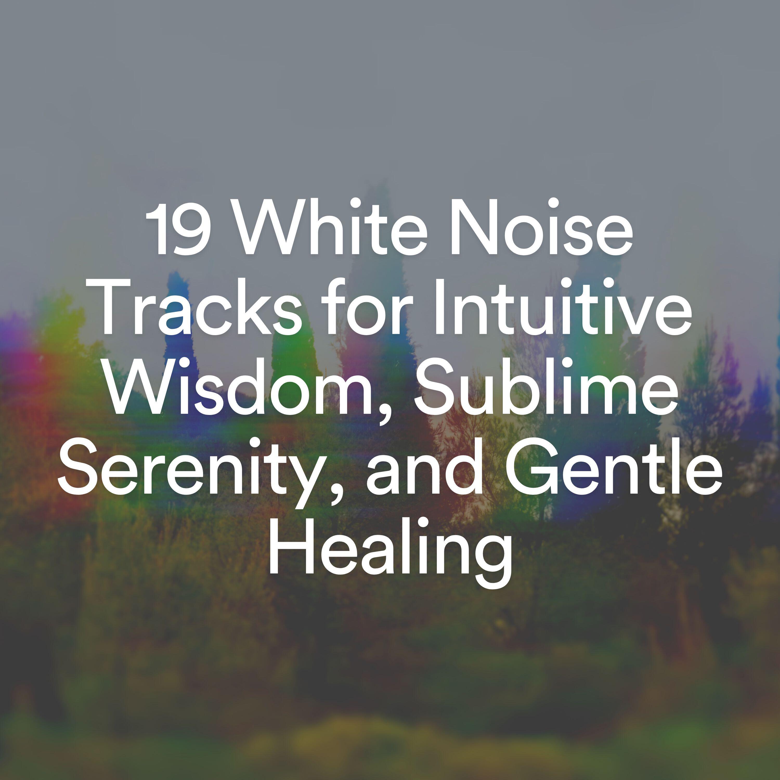 Релиз 19 White Noise Tracks for Intuitive Wisdom, Sublime Serenity, and Gentle Healing