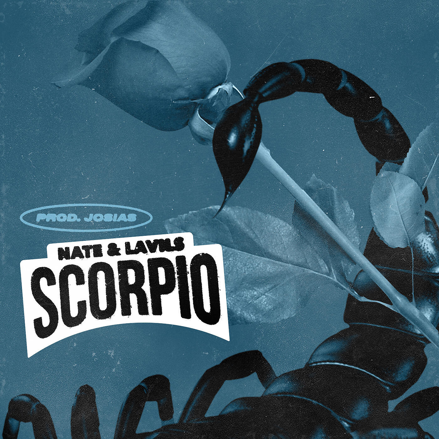 Релиз Scorpio