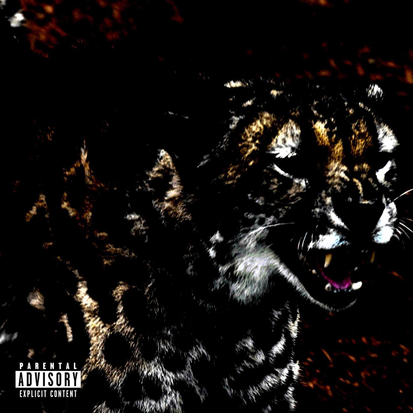 Релиз Cheetah