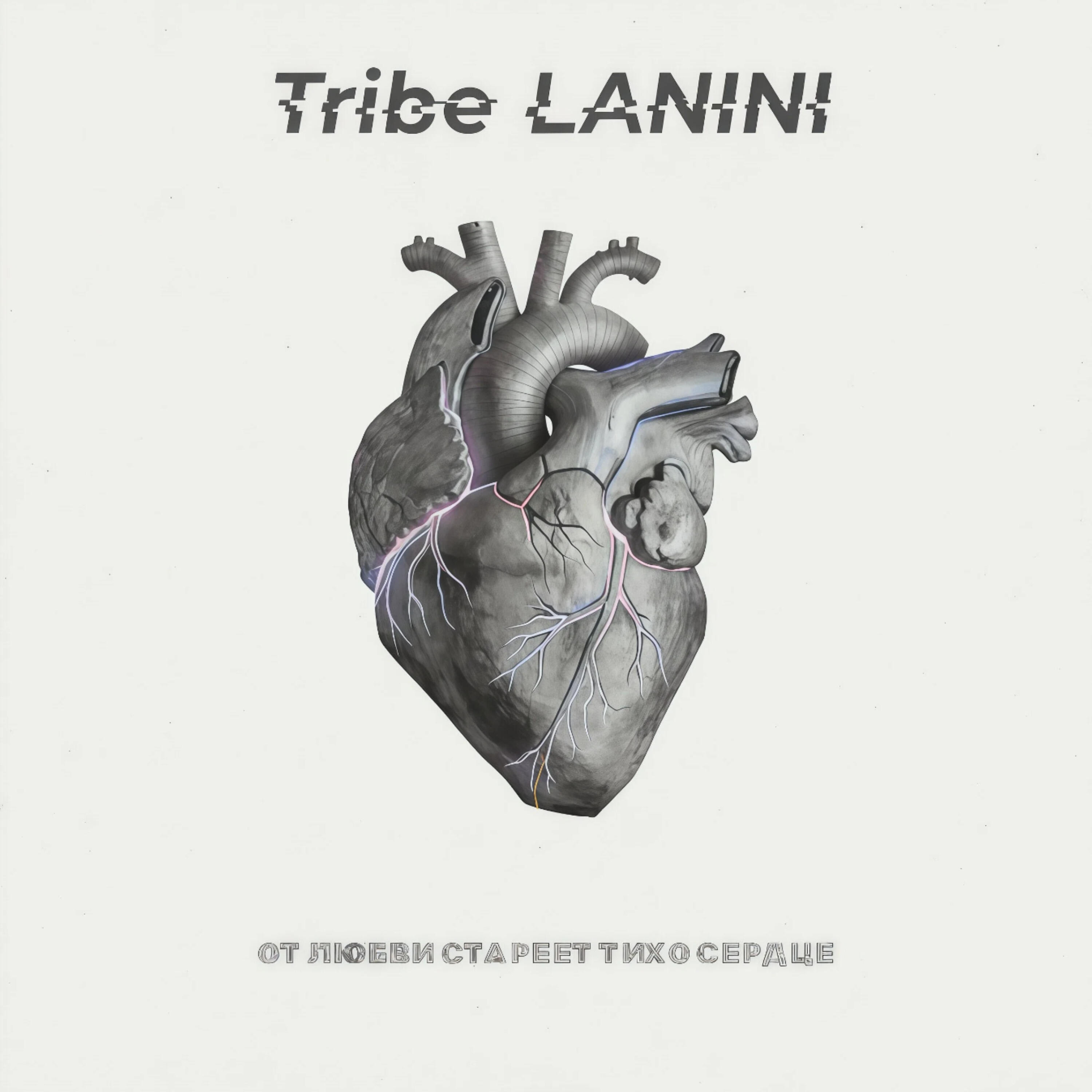 Tribe LANINI