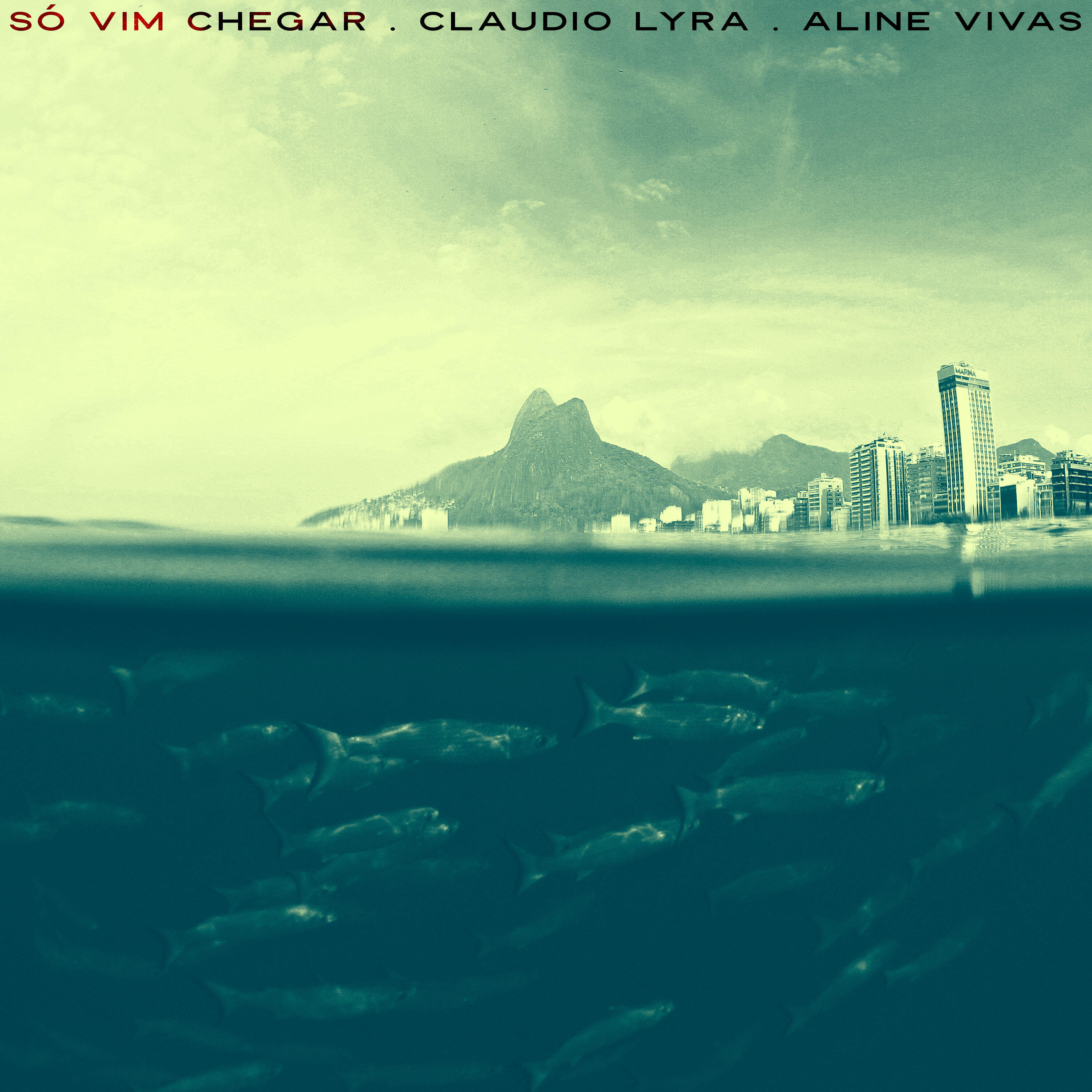 Aline Vivas