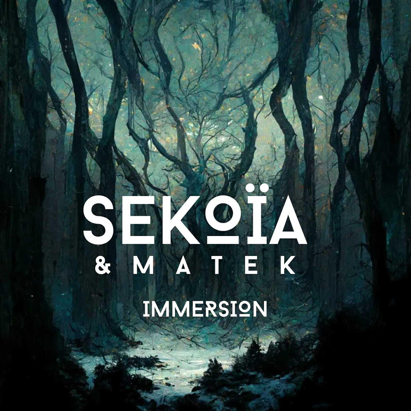 Постер альбома Immersion