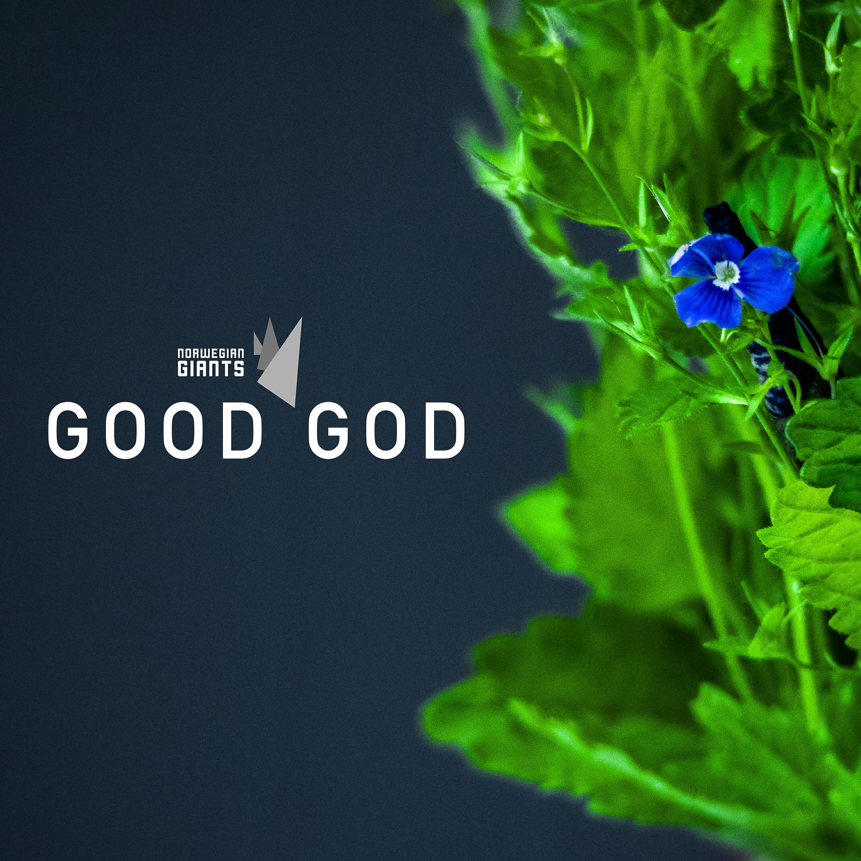 Релиз Good God