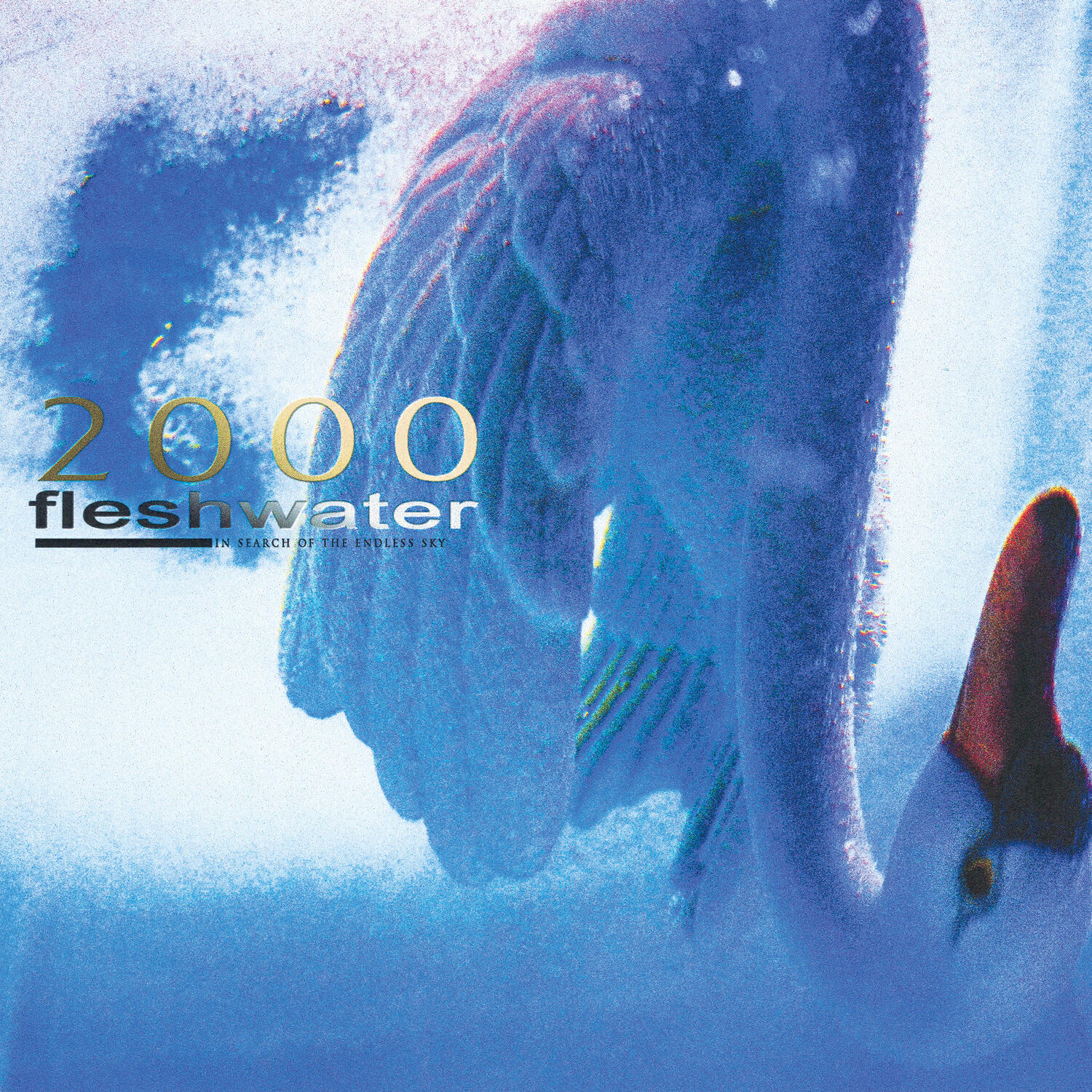 Релиз 2000: In Search Of The Endless Sky