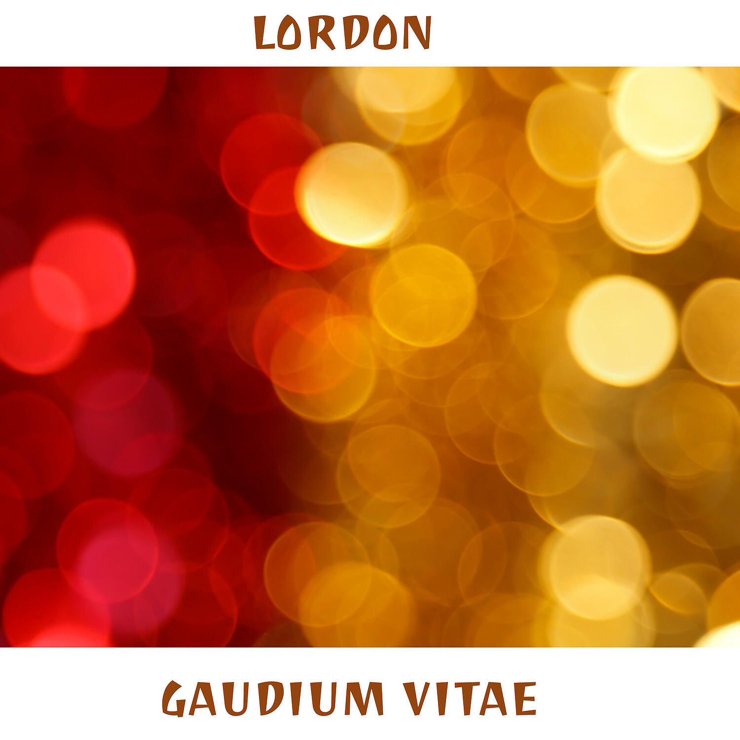 Релиз Gaudium vitae