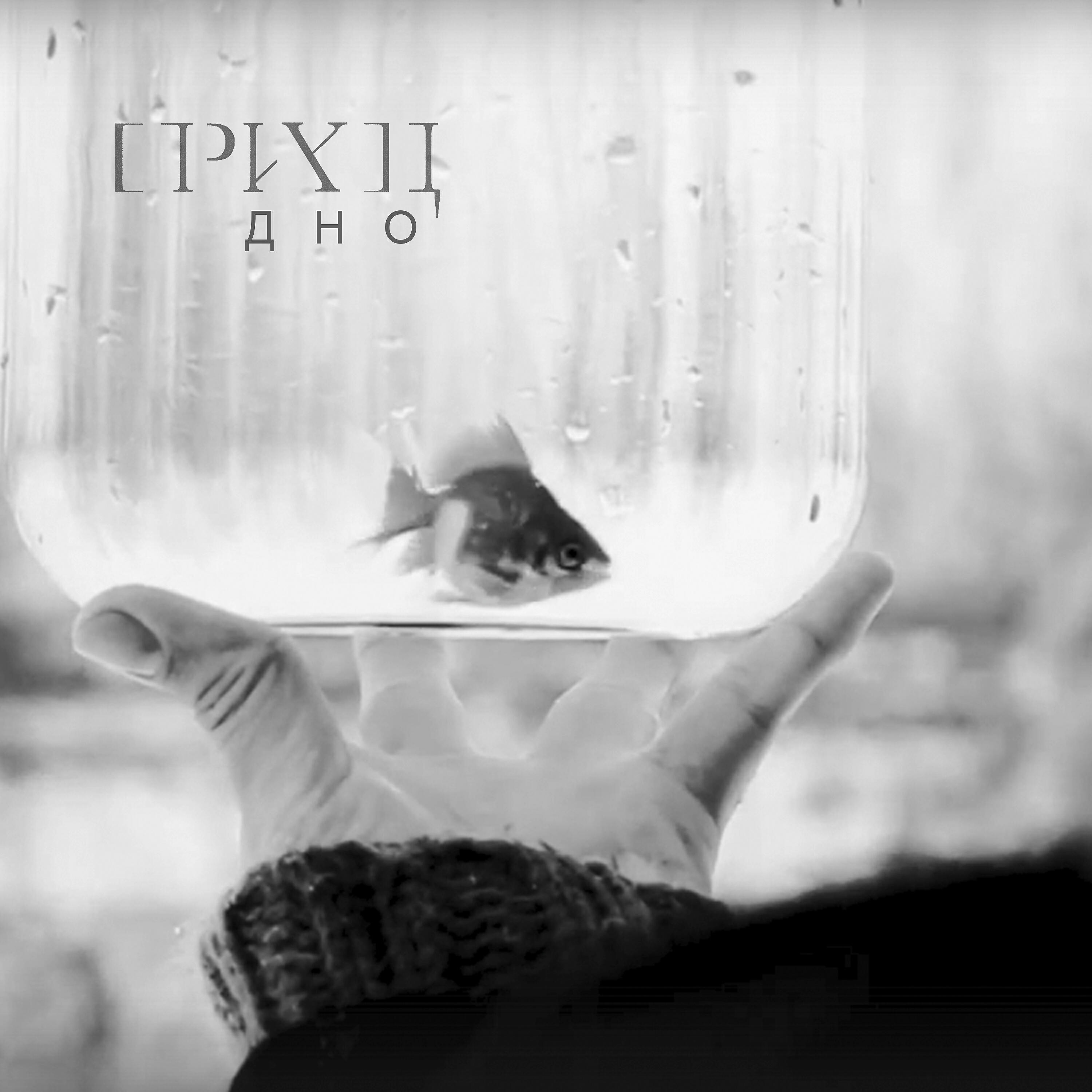 Релиз Дно