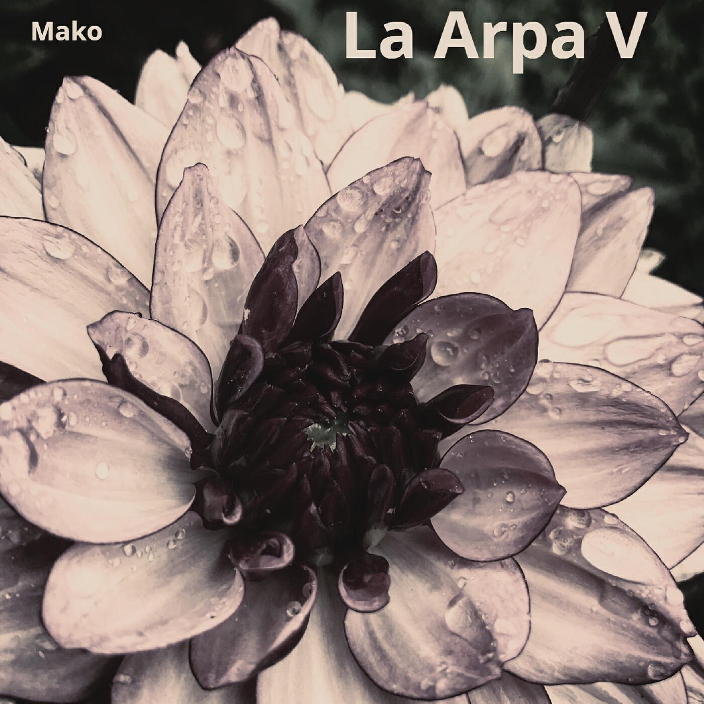 Релиз La Arpa V