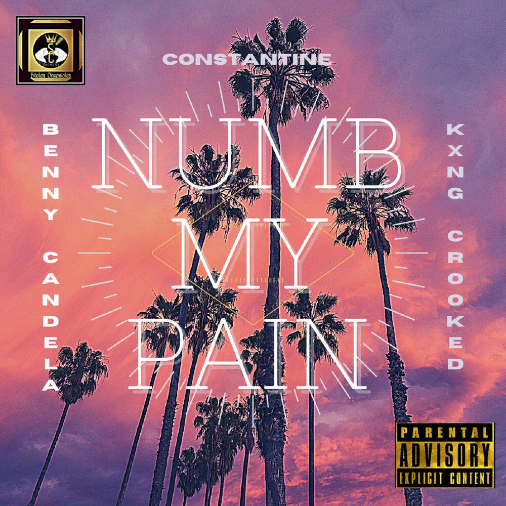 Релиз Numb My Pain