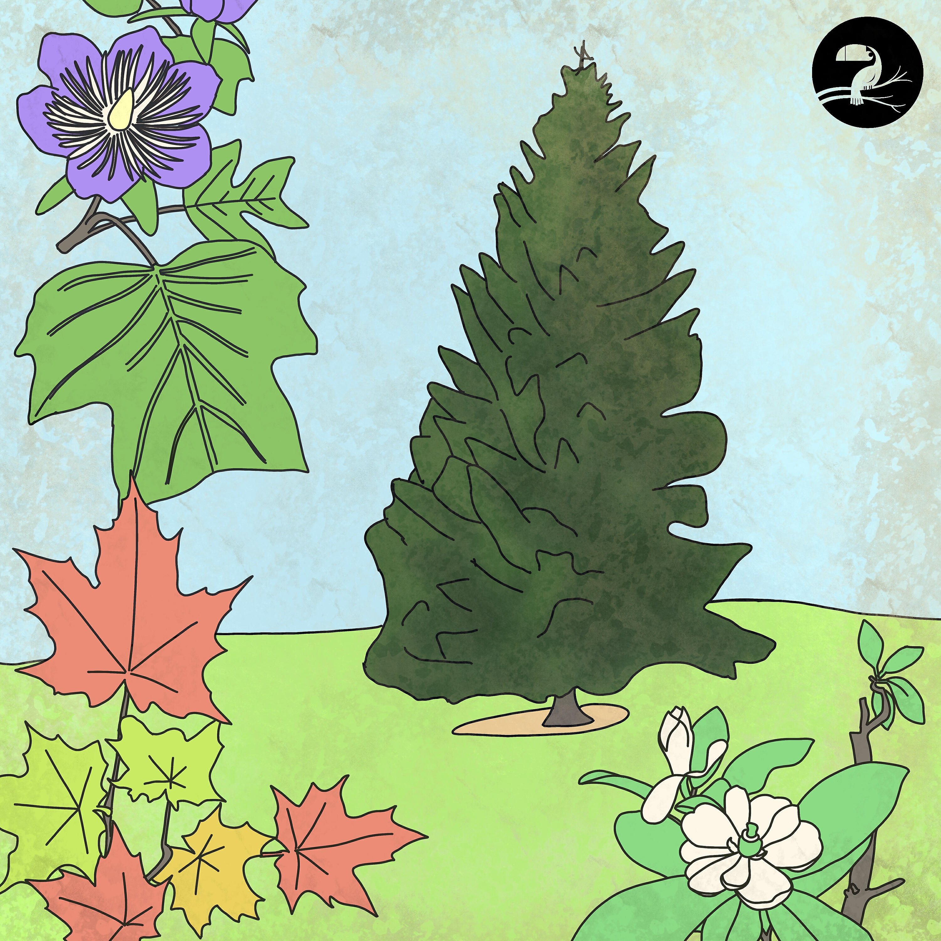 Релиз Spruce