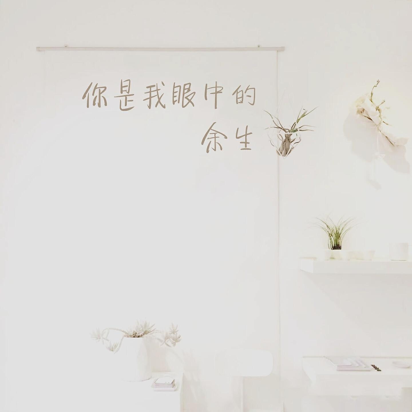 Релиз 你是我眼中的余生