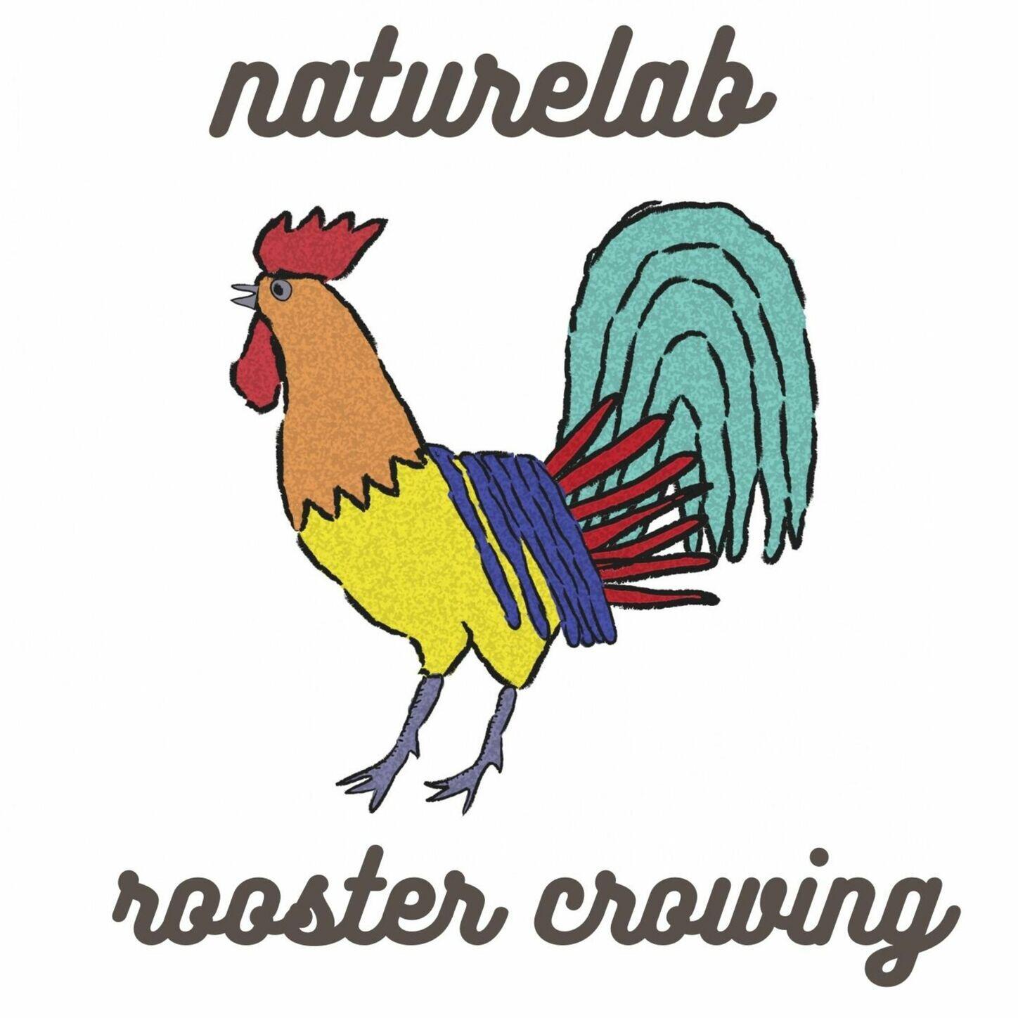 Релиз Roosters Crowing
