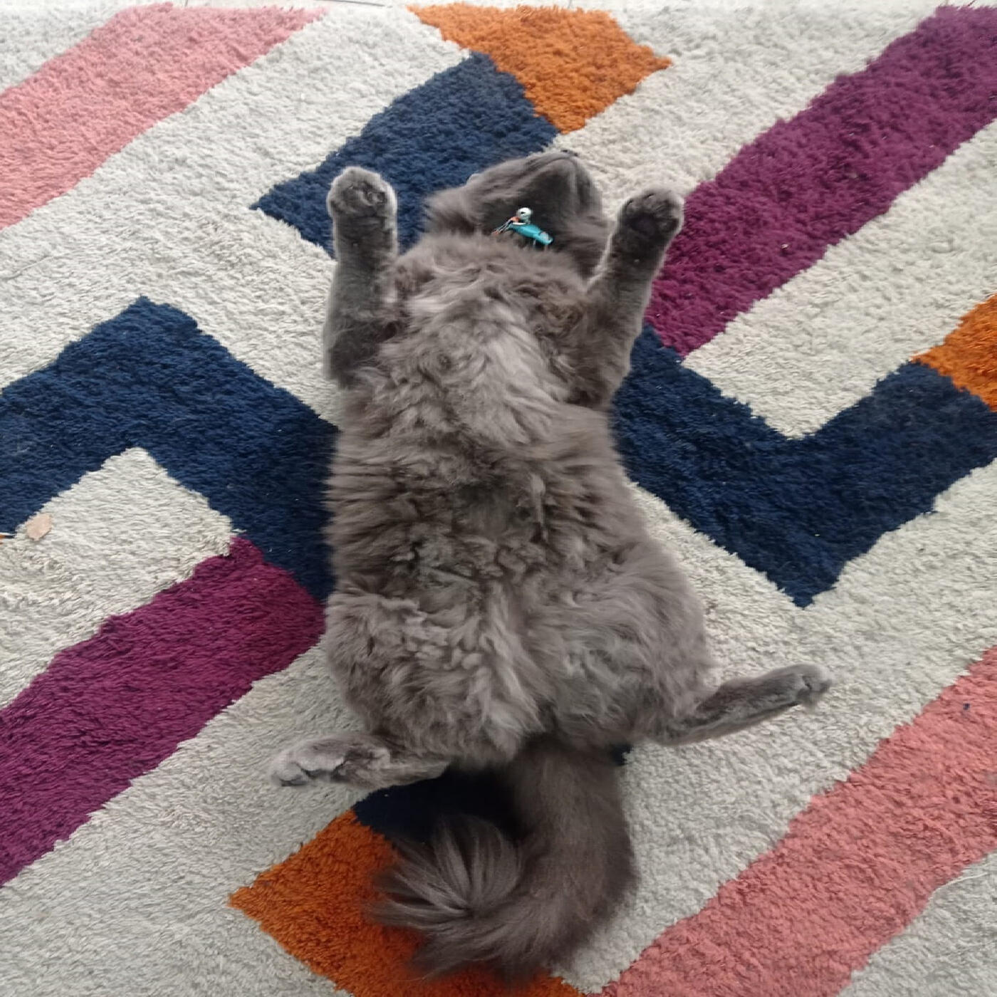 Релиз El Arte De Ni Siquiera Intentarlo