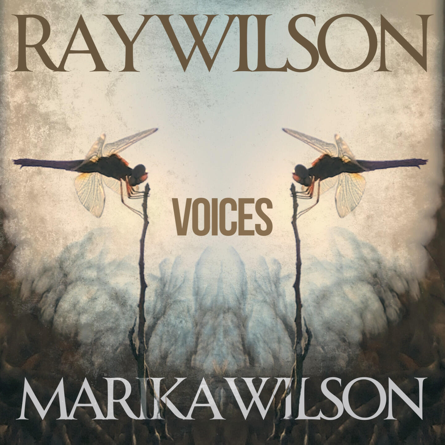 Marika Wilson