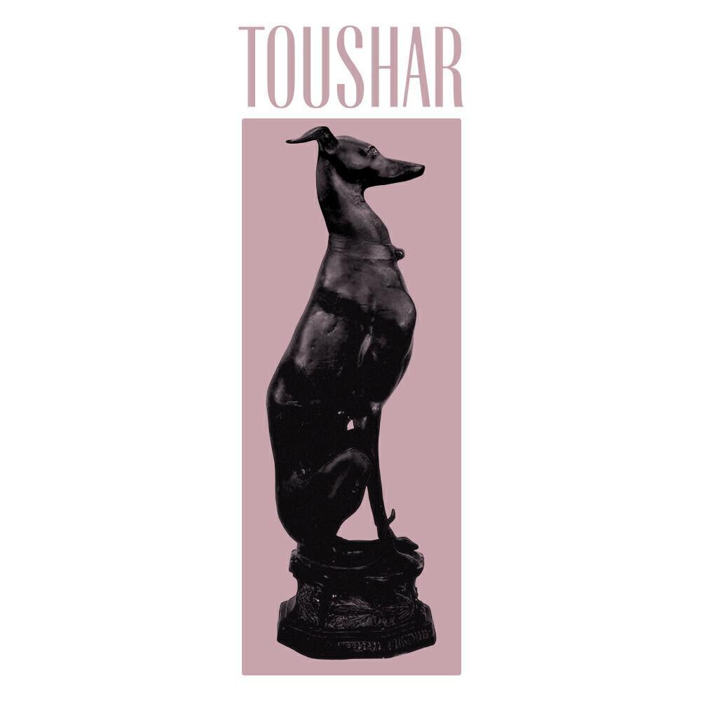 Toushar