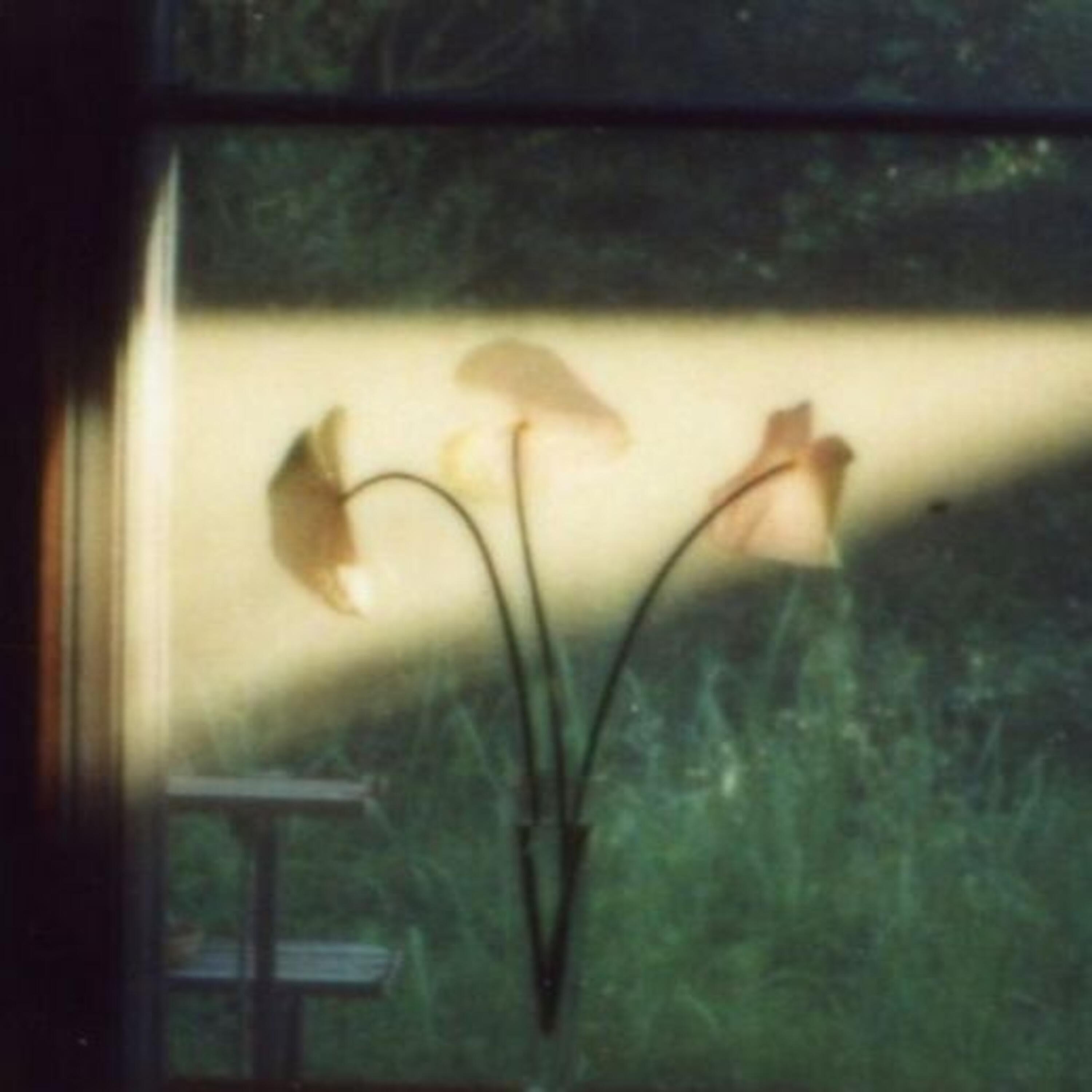 Релиз grace