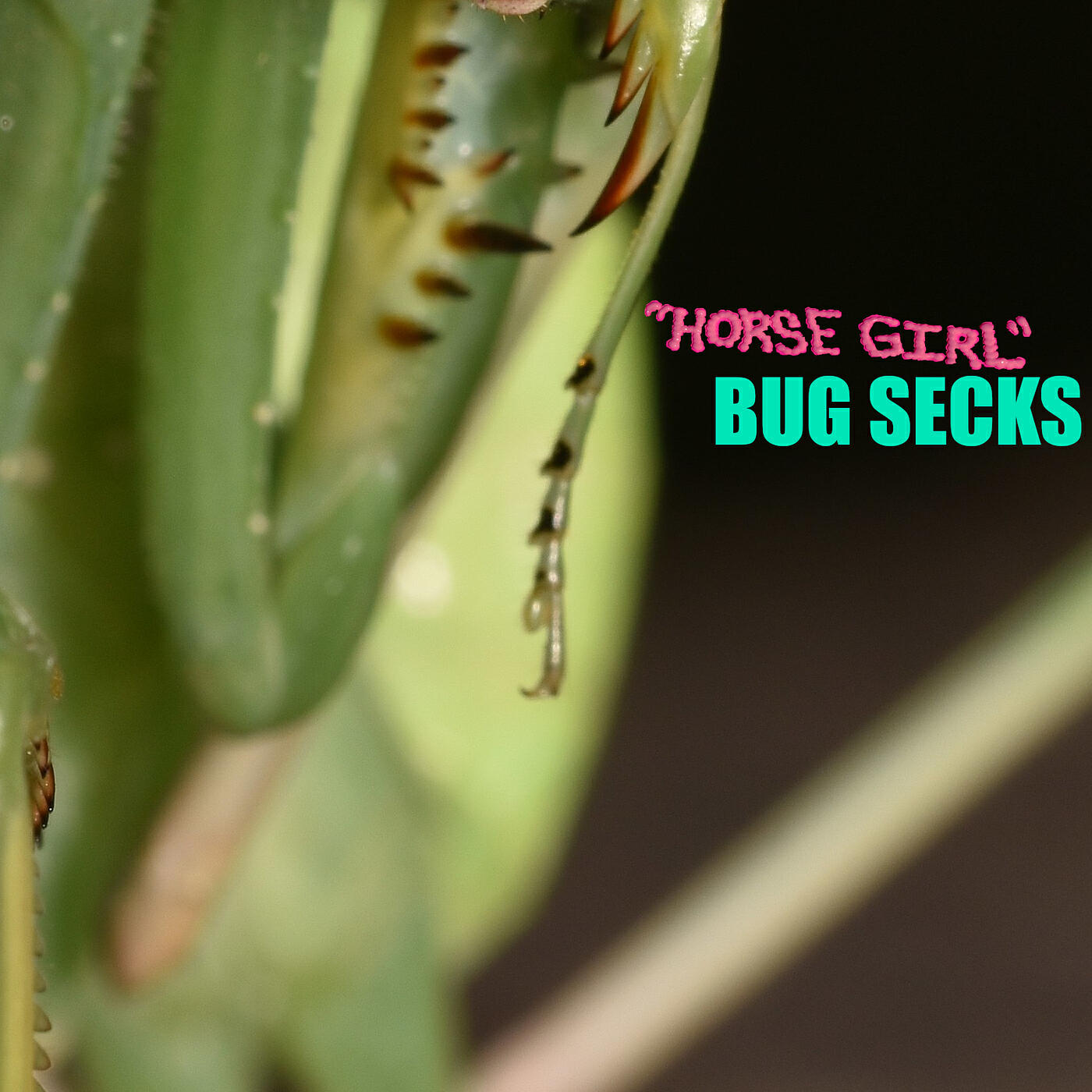 Релиз Bug Secks
