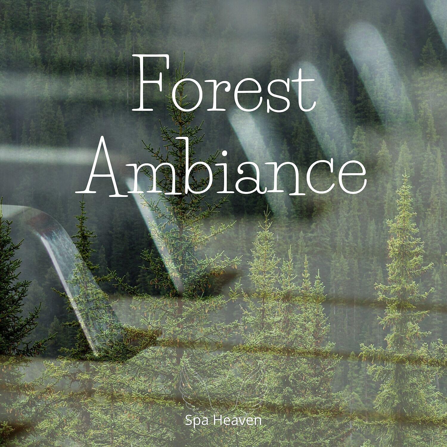 Релиз Forest Ambiance