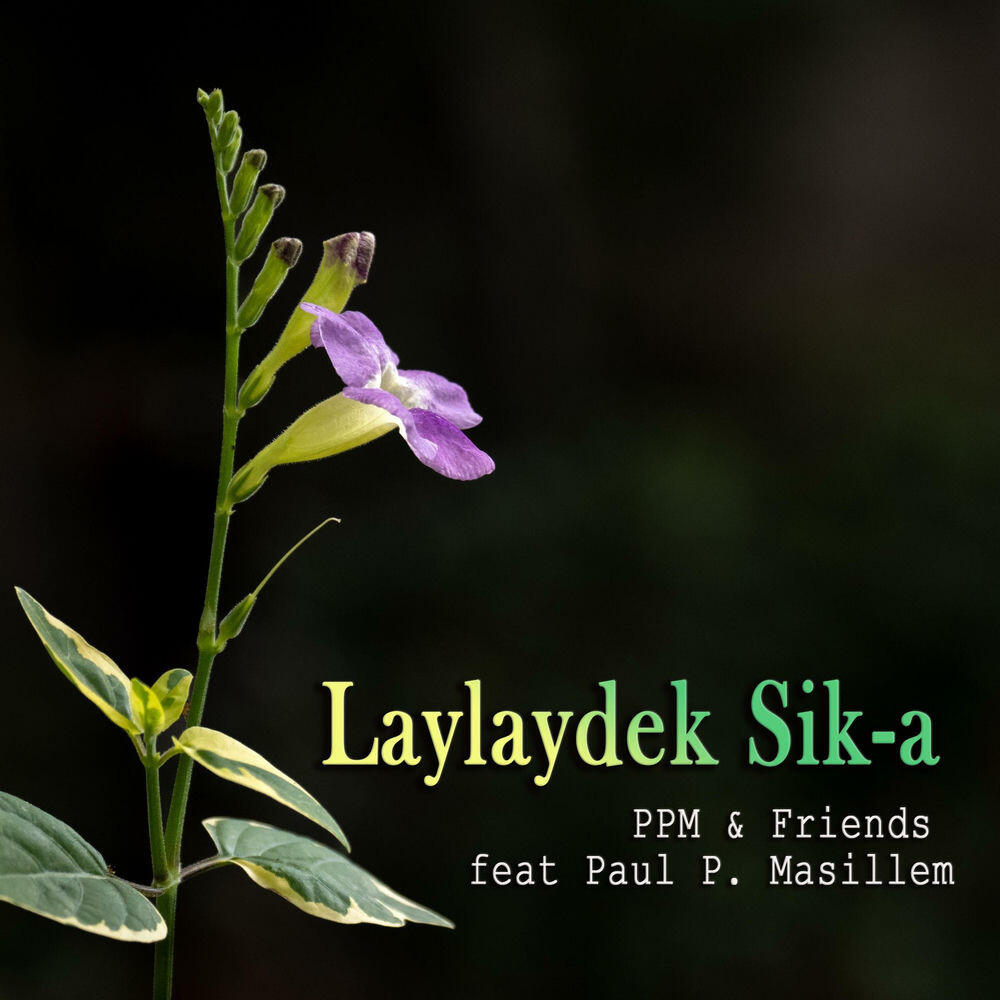 Релиз Laylaydek Sik-a
