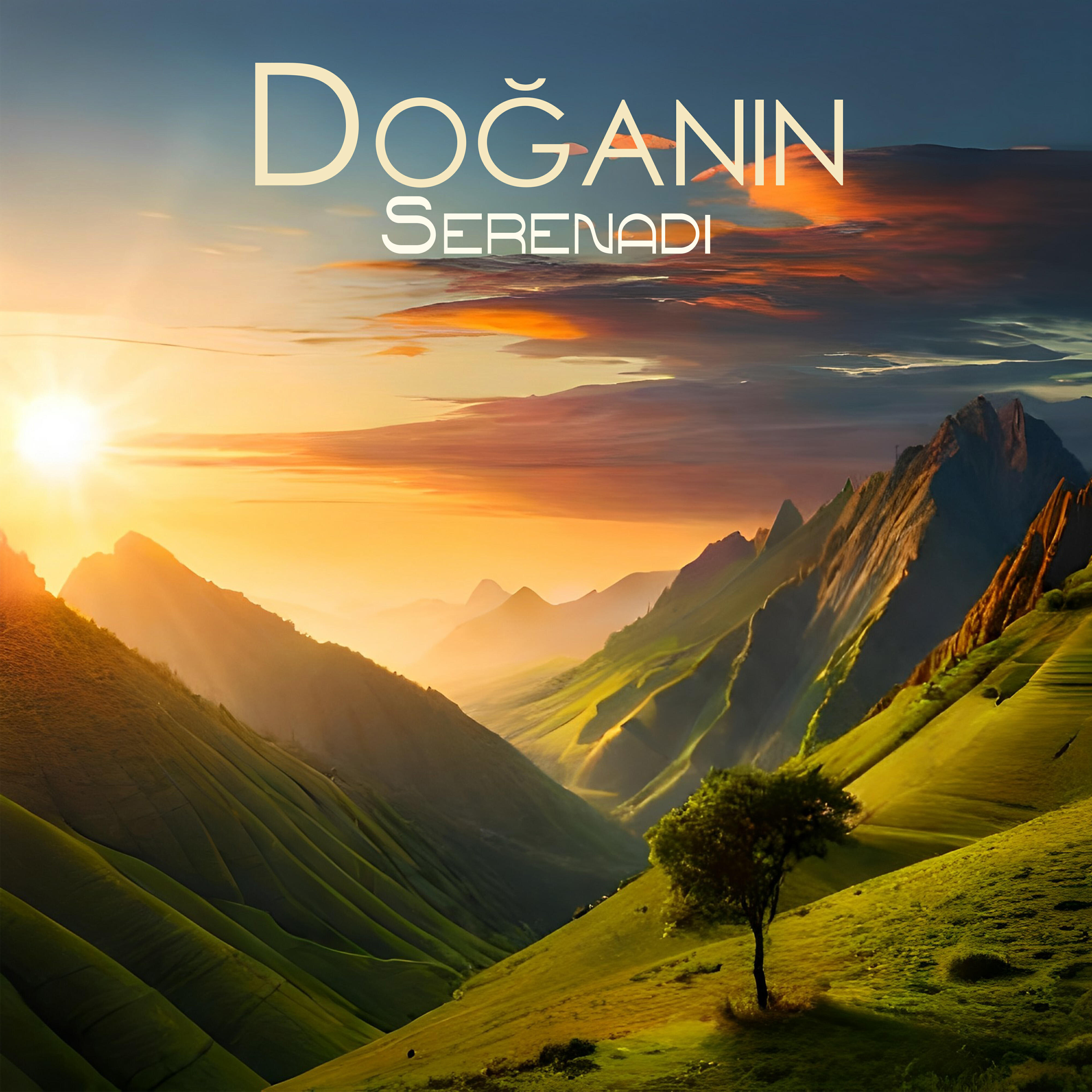 Rahatlatıcı Doğa