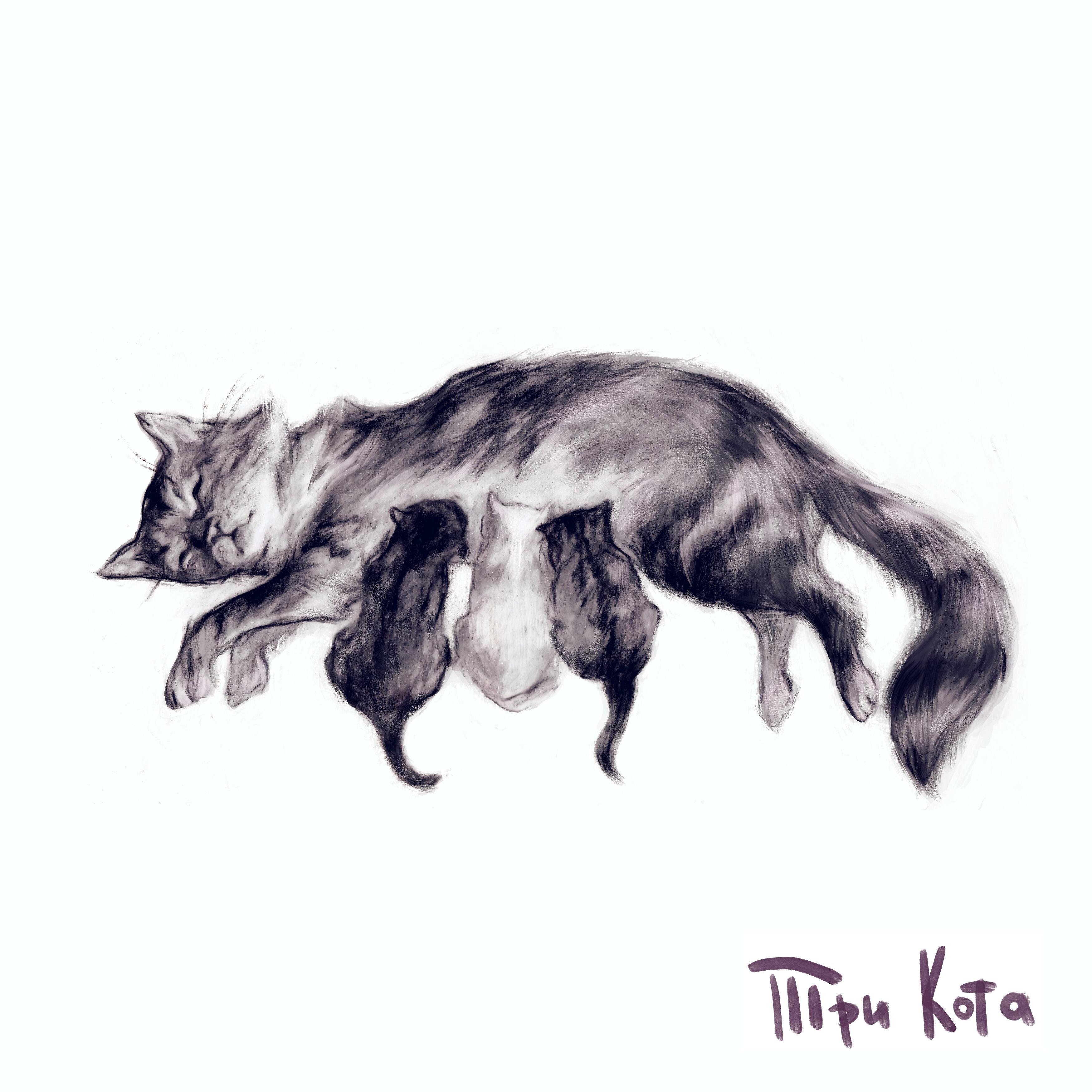 Релиз Три кота