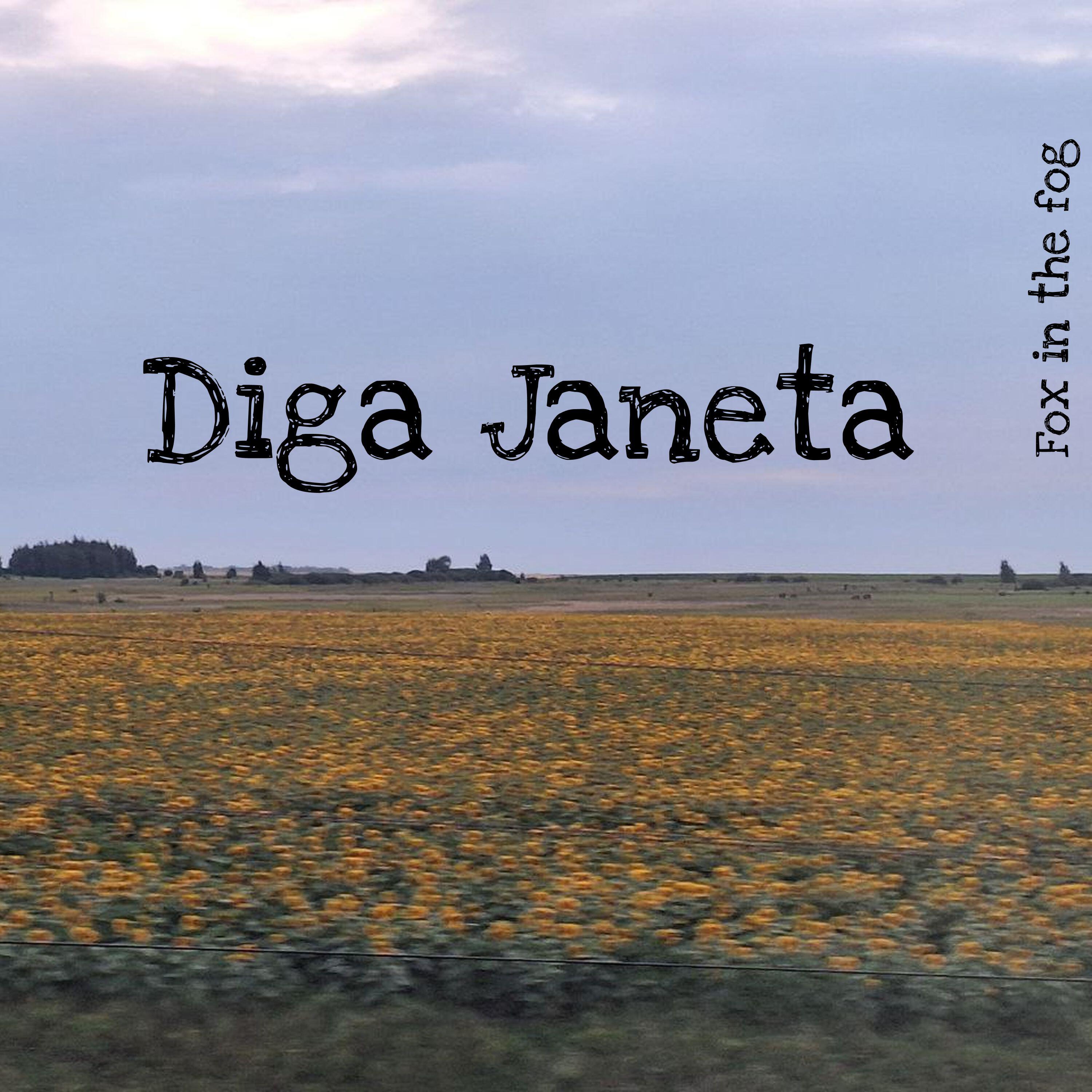 Релиз Diga Janeta