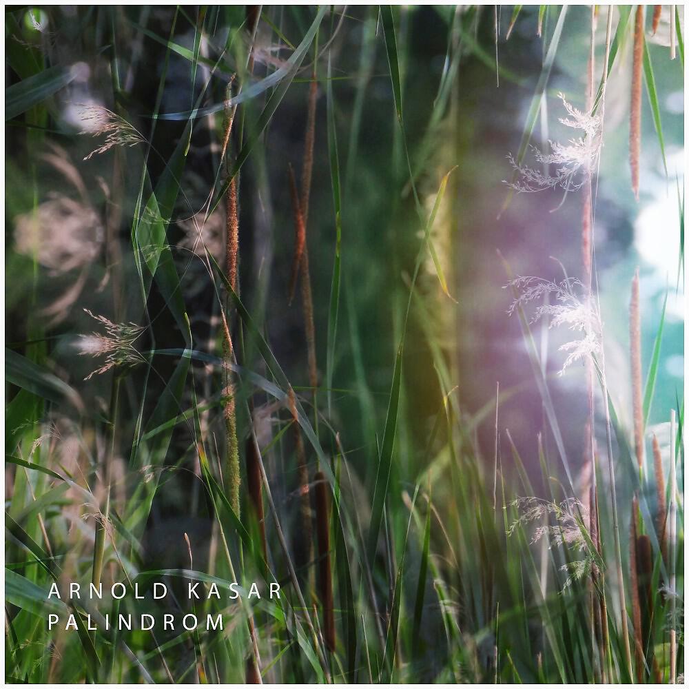 Релиз Palindrom