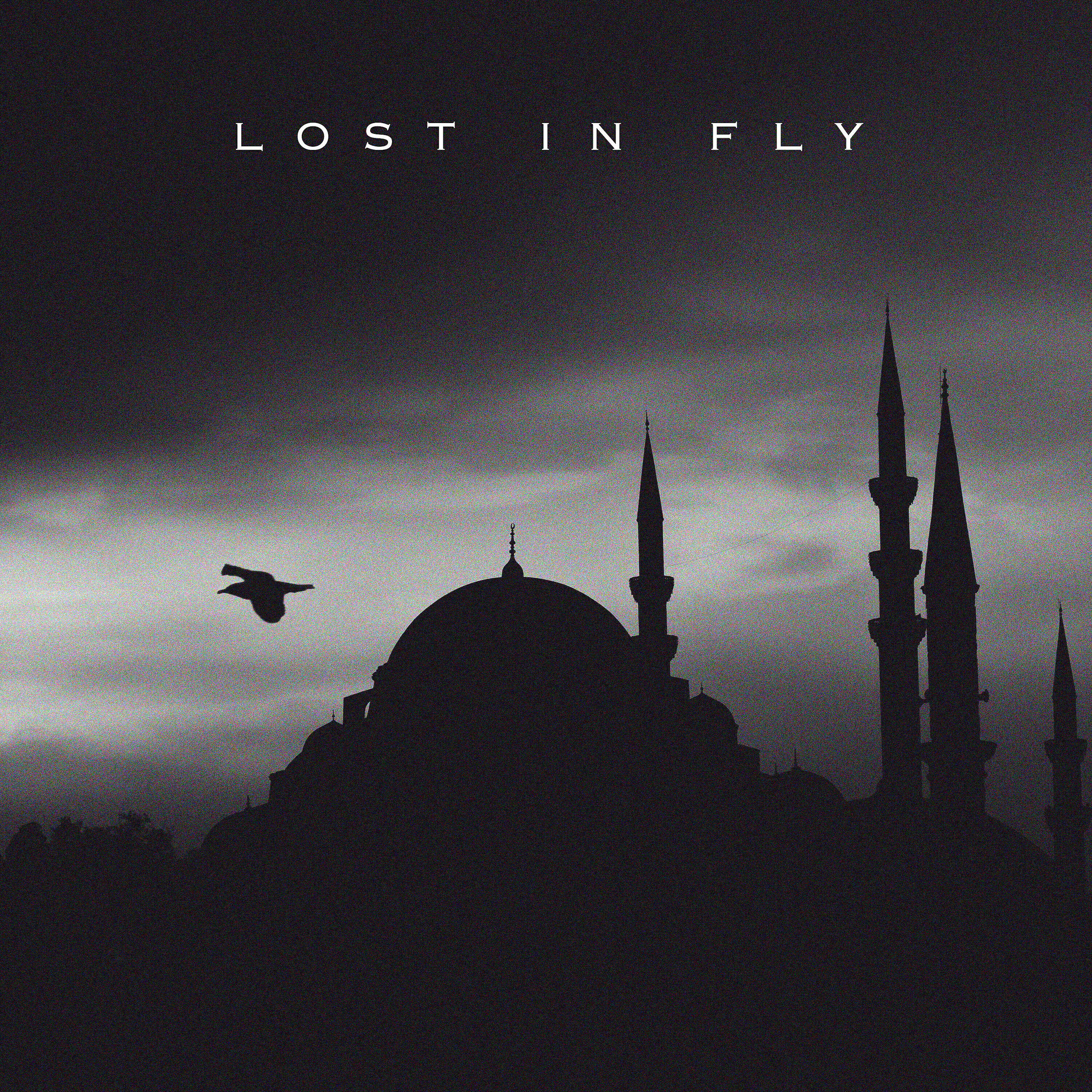Релиз Lost in Fly