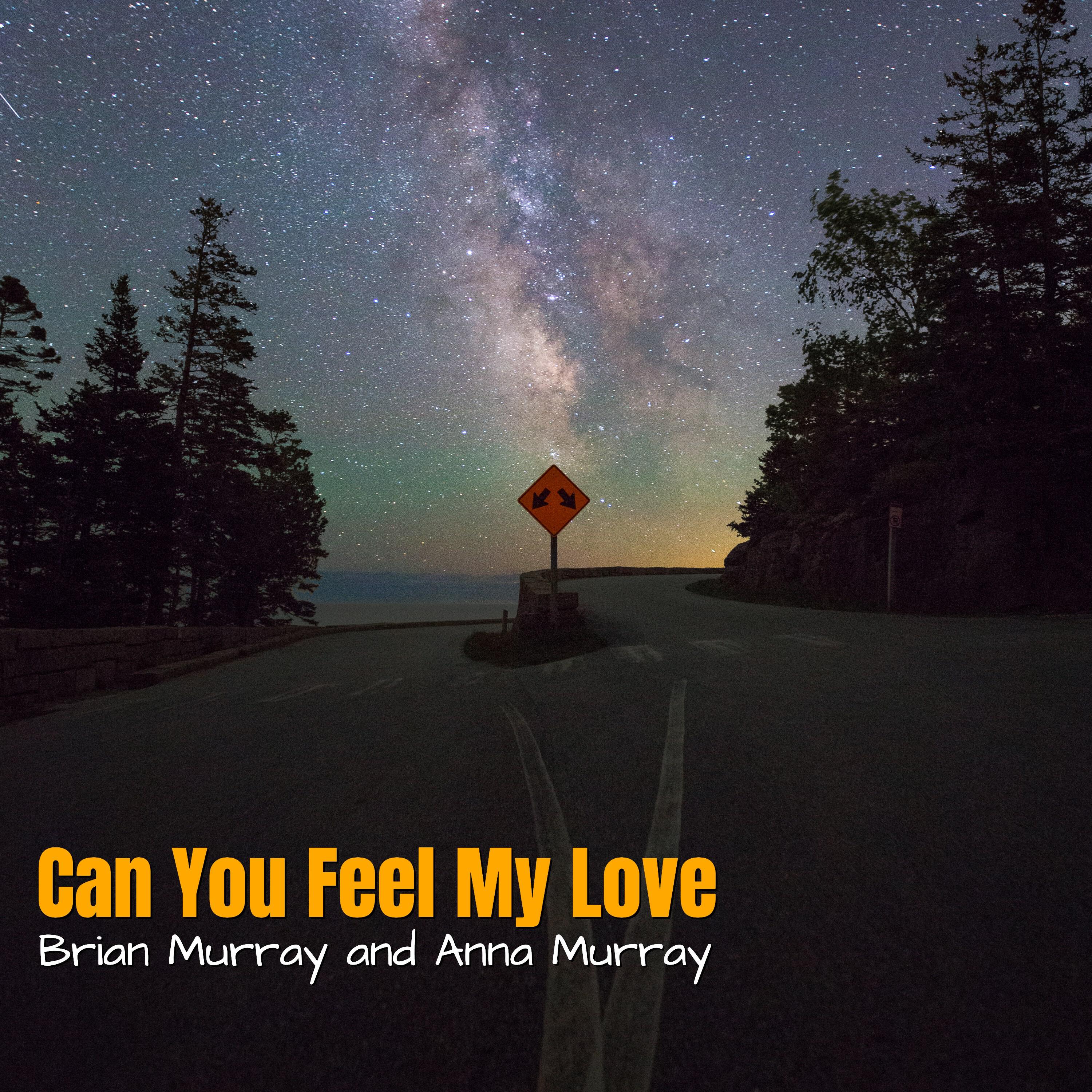 Релиз Can You Feel My Love