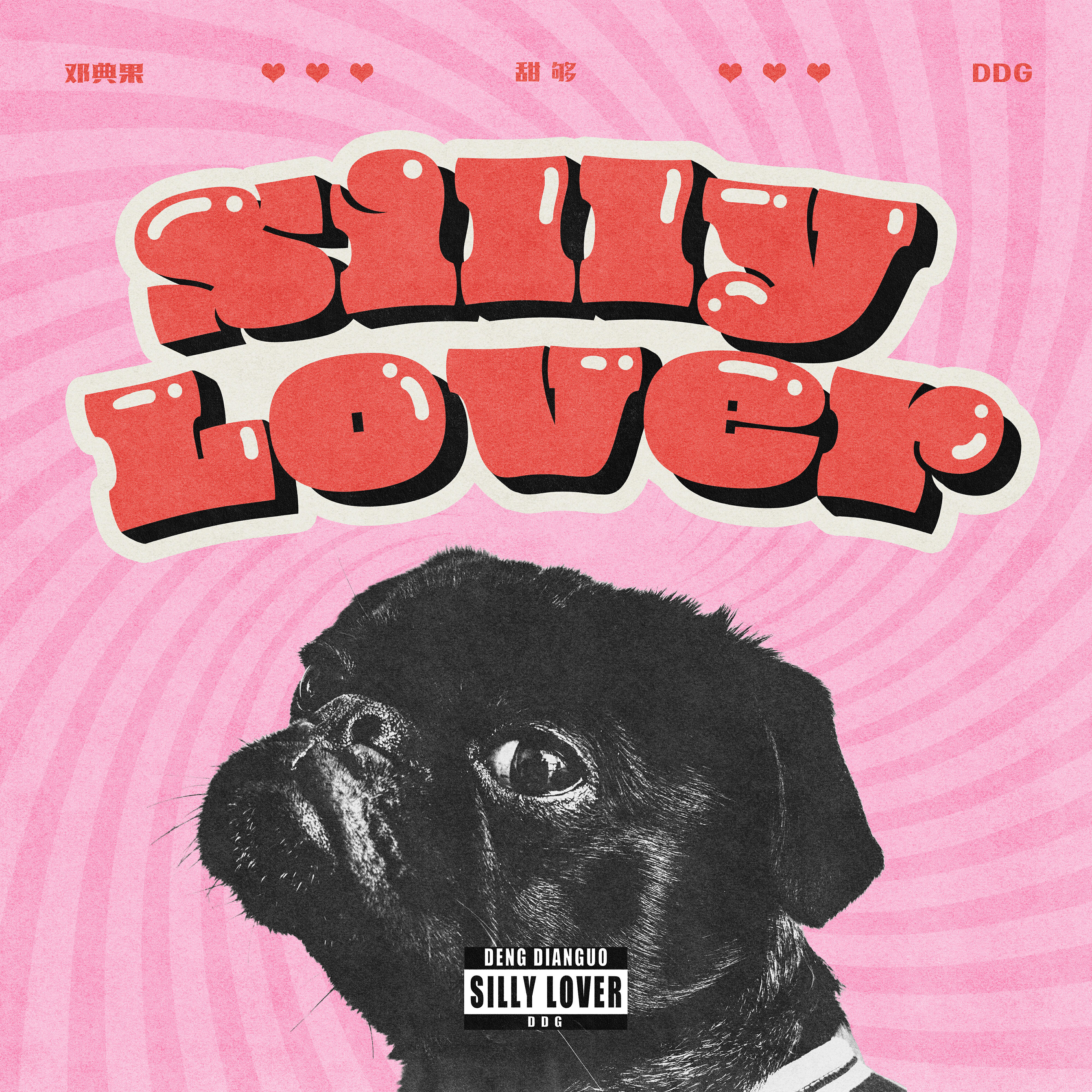 Релиз Silly Lover