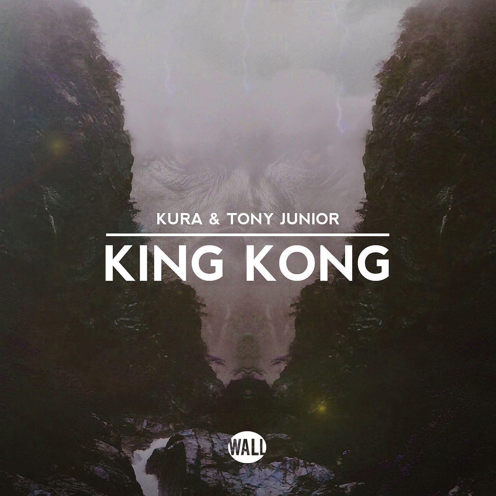 Постер альбома King Kong