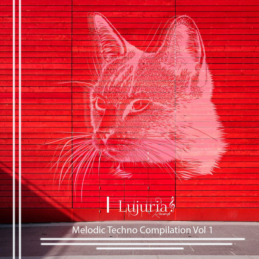 Релиз Melodic Techno Compilation Vol 01
