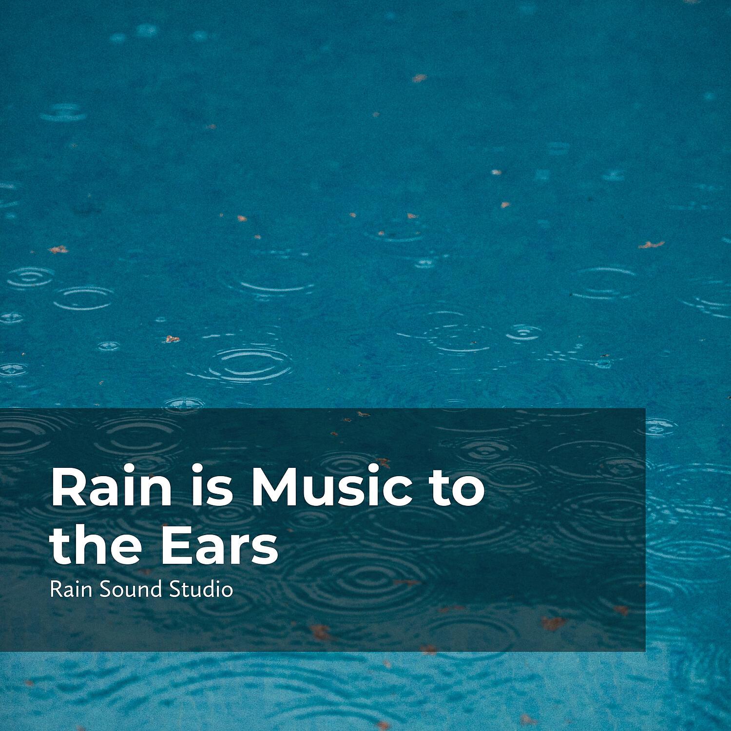 Релиз Rain is Music to the Ears