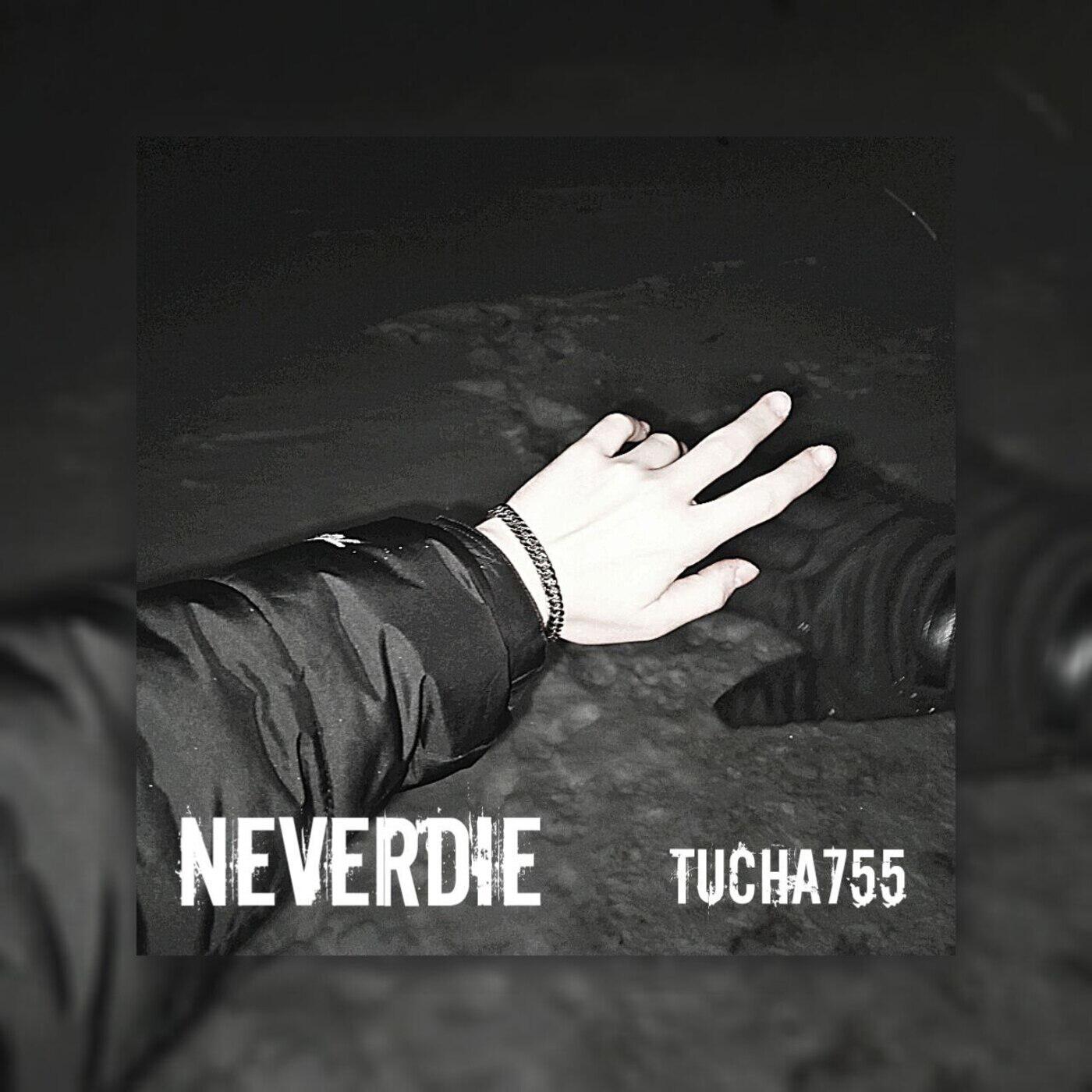 Релиз Neverdie