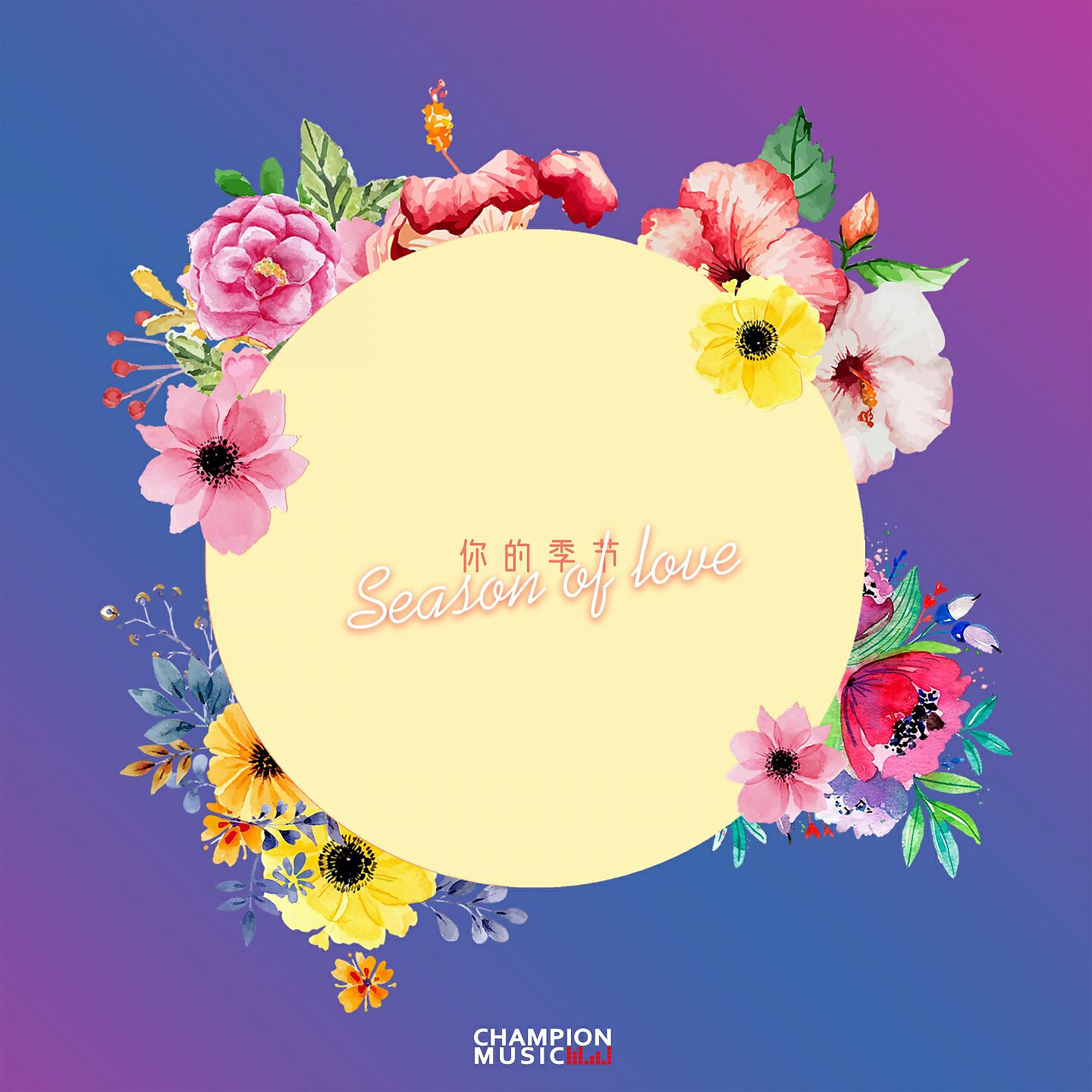 Релиз 你的季节