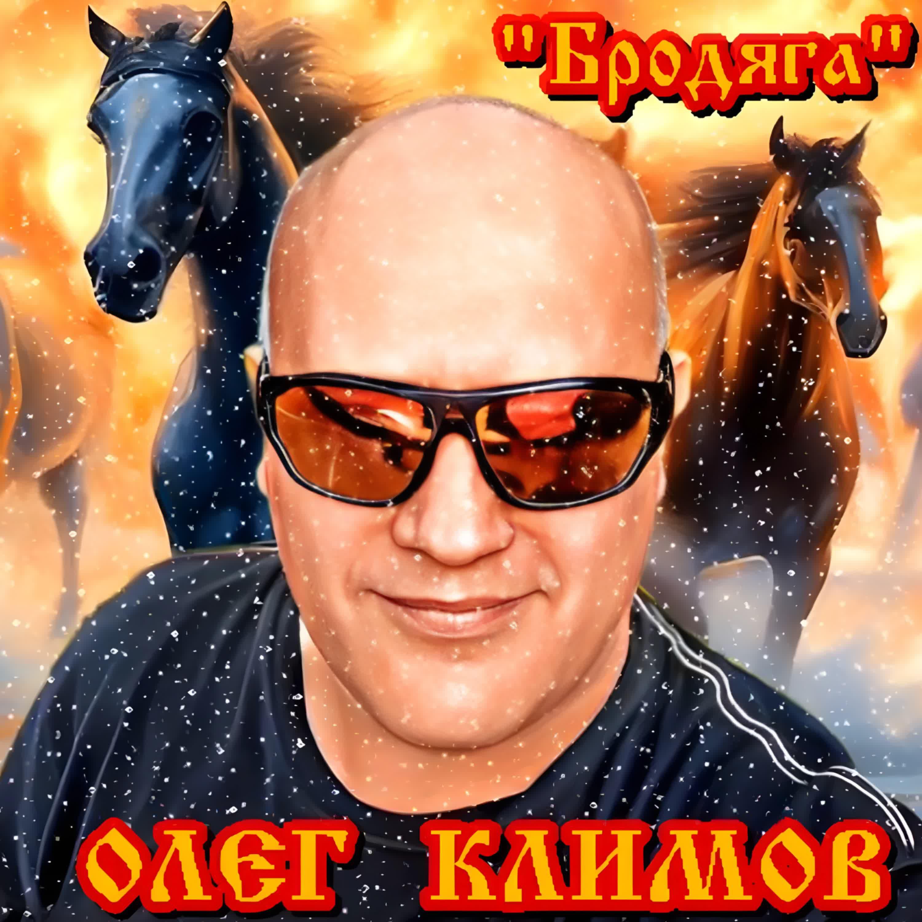 Релиз Бродяга