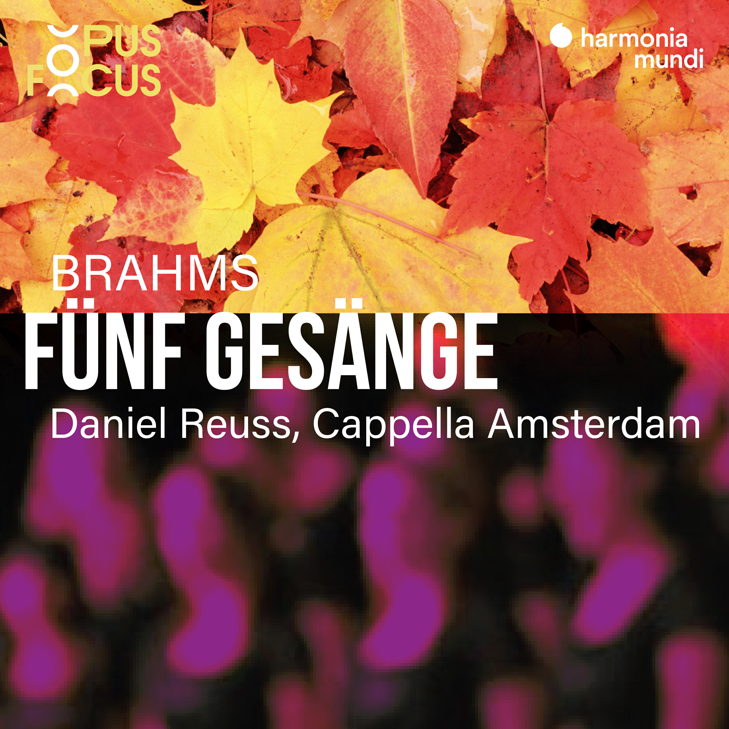 Релиз Brahms: 5 Gesänge, Op. 104