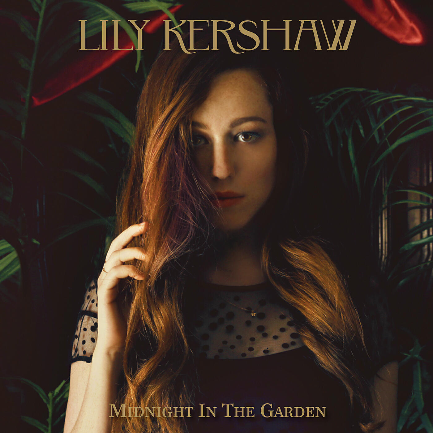 Релиз Midnight In The Garden