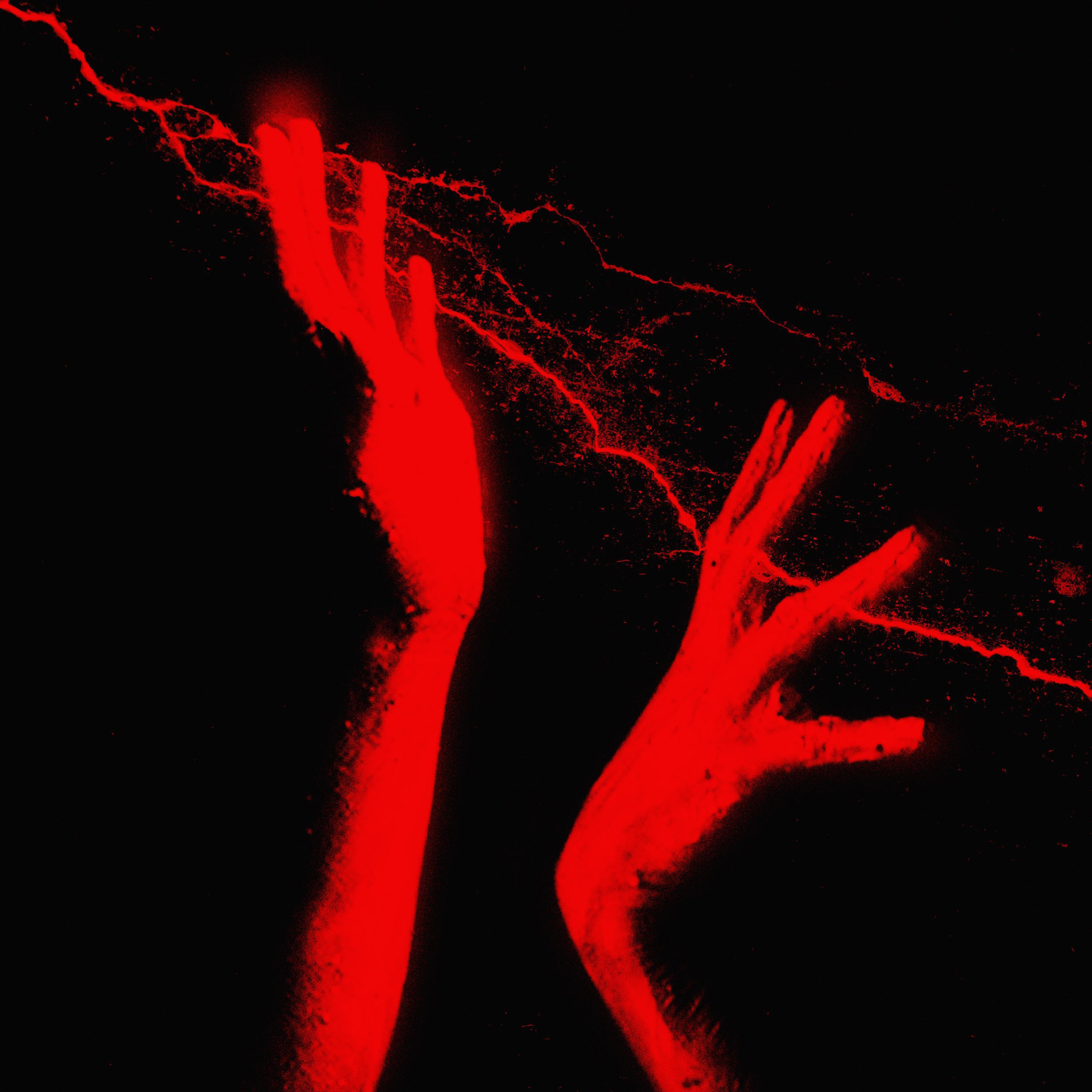 Релиз Séance