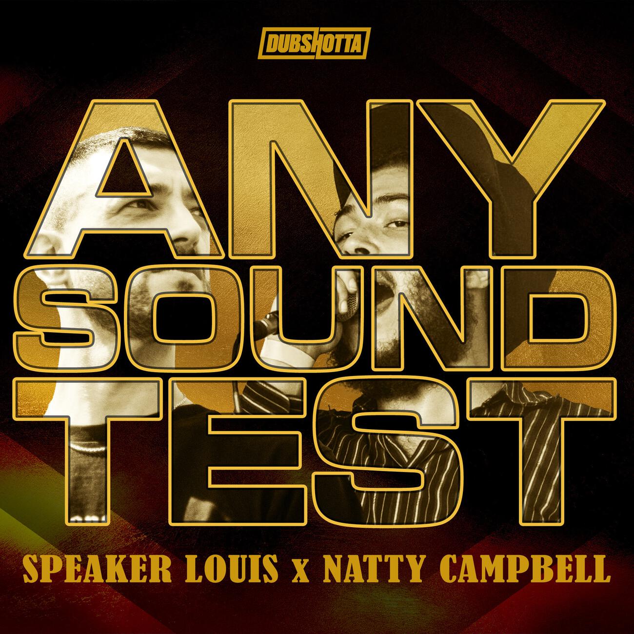 Релиз Any Sound Test