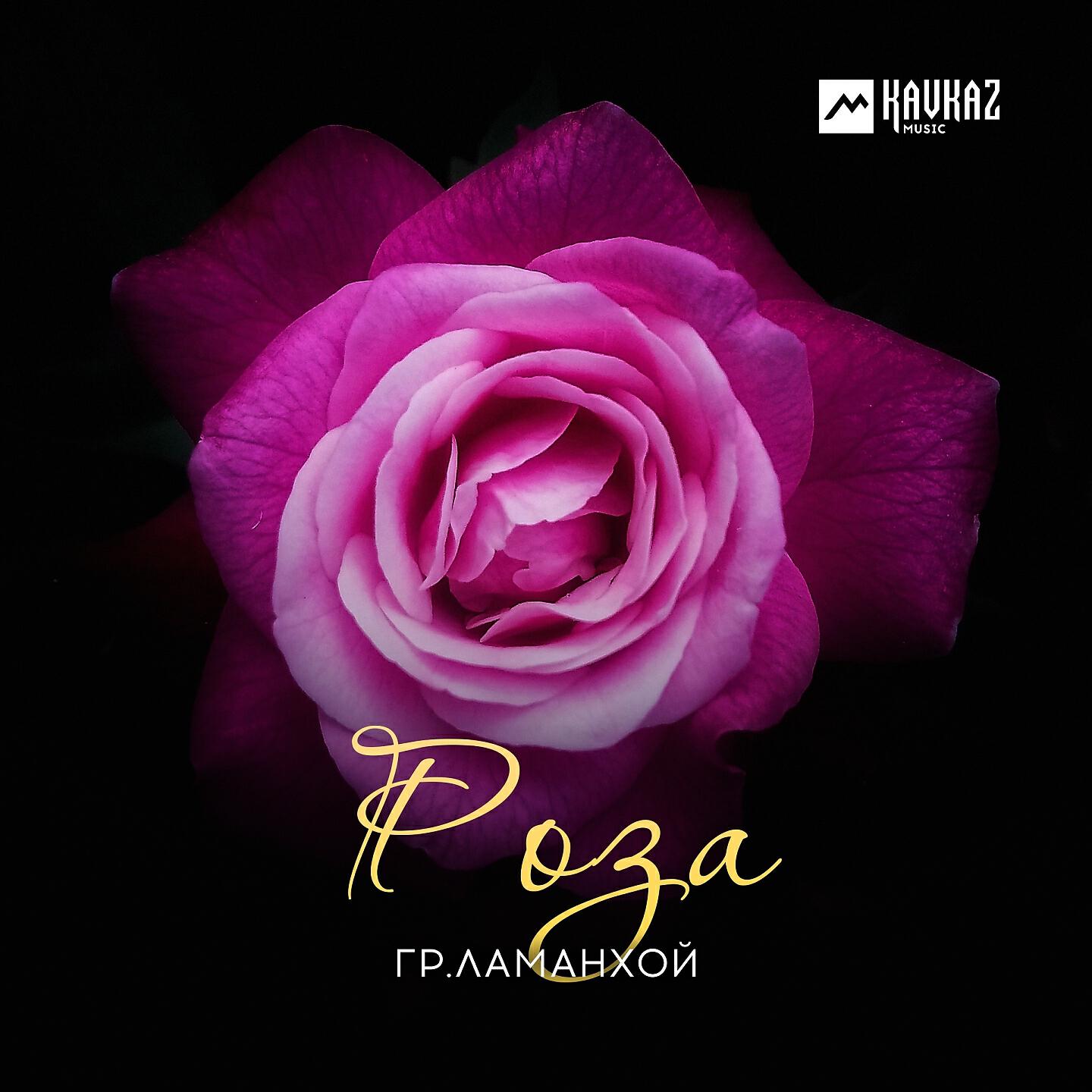Релиз Роза