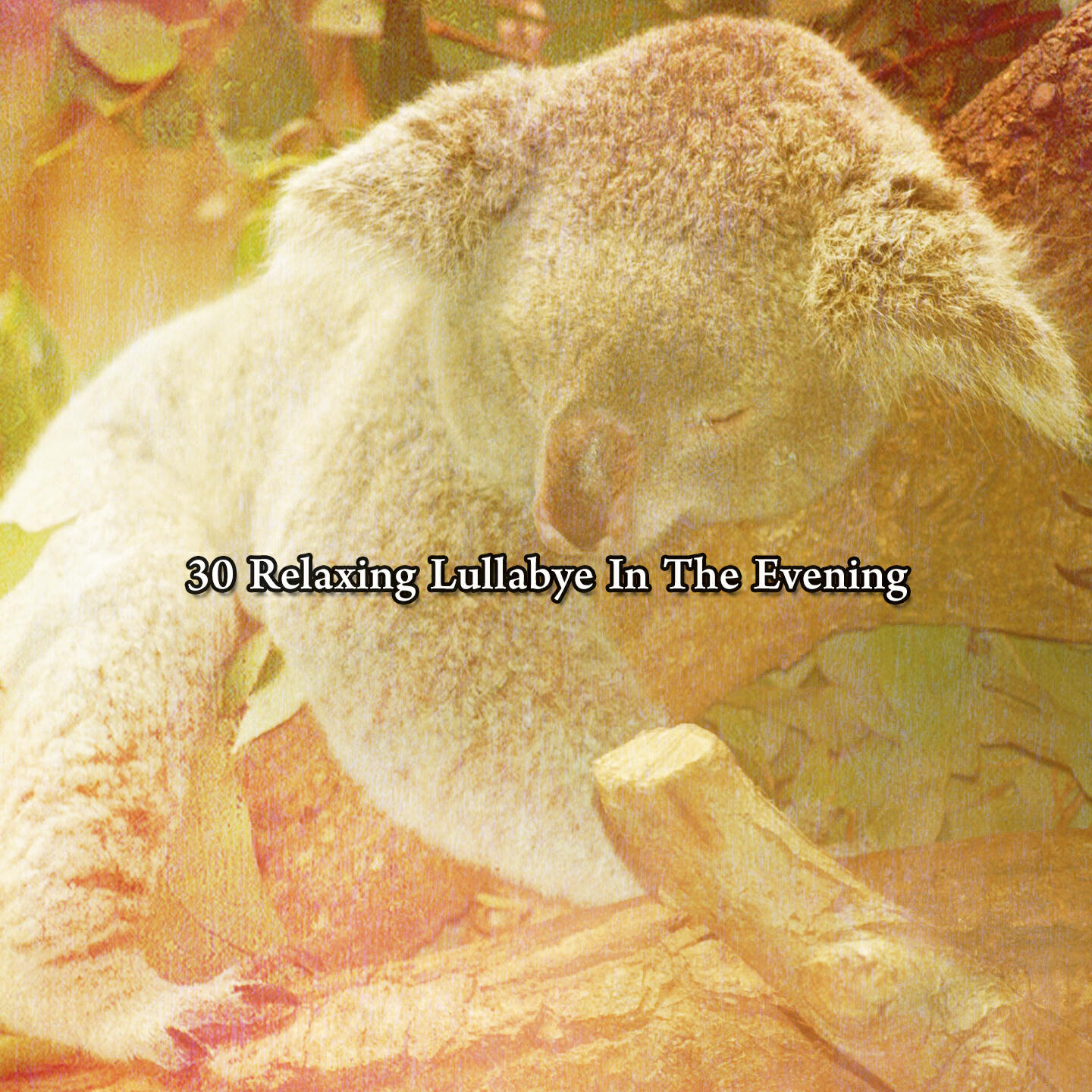 Релиз 30 Relaxing Lullabye In The Evening