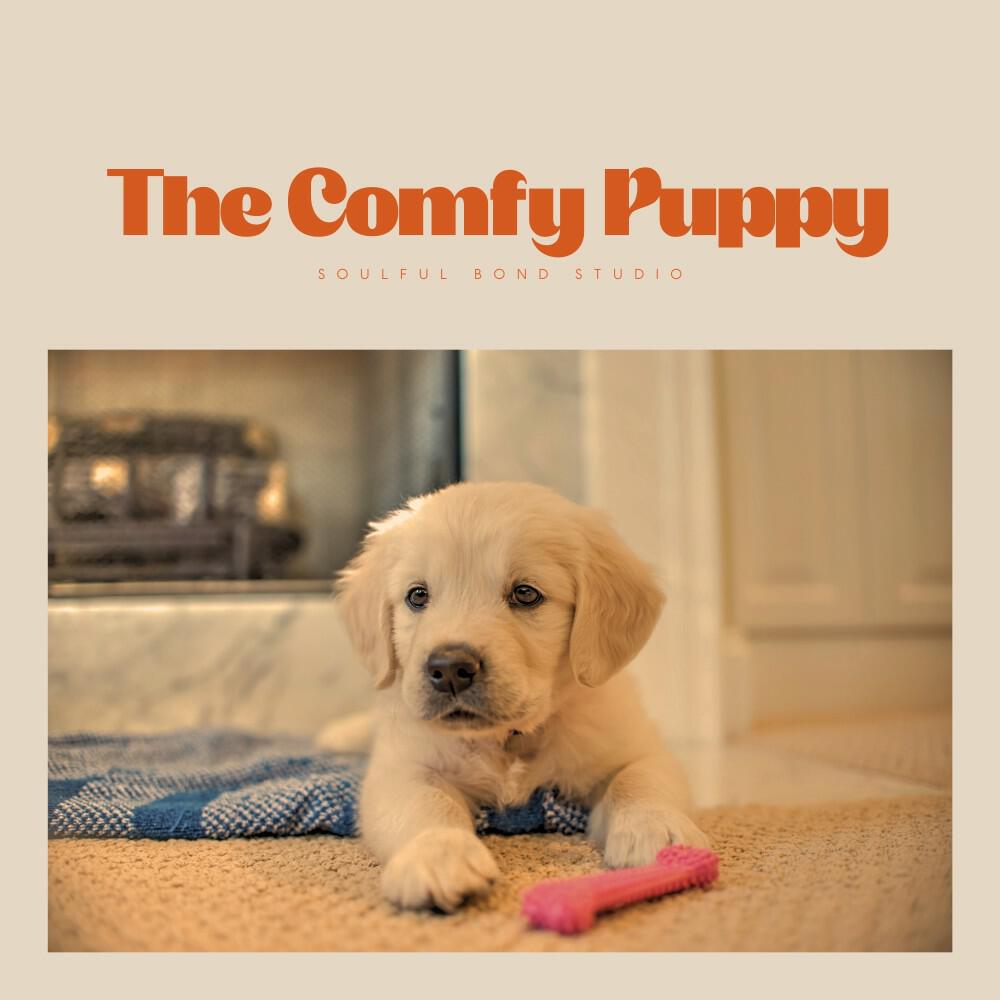 Релиз The Comfy Puppy