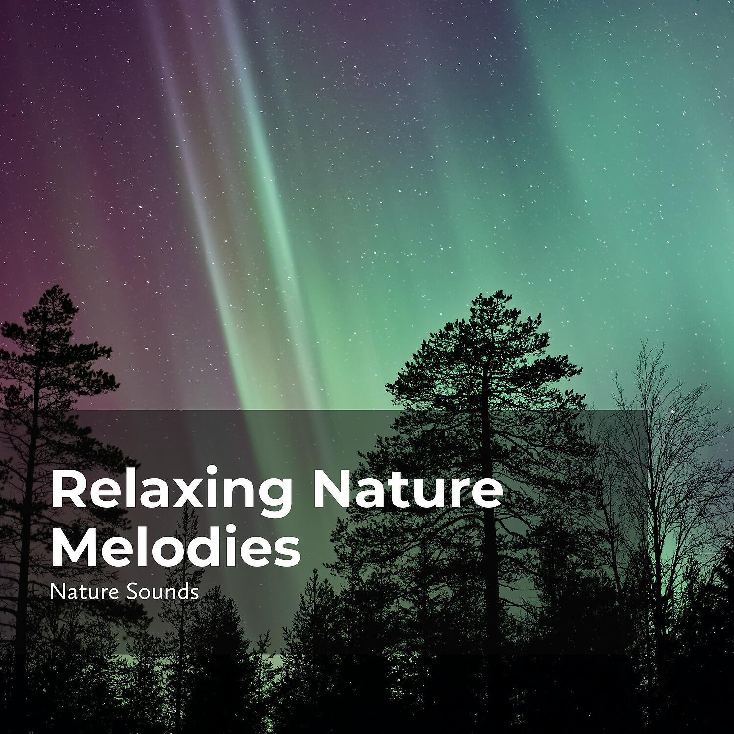 Релиз Relaxing Nature Melodies