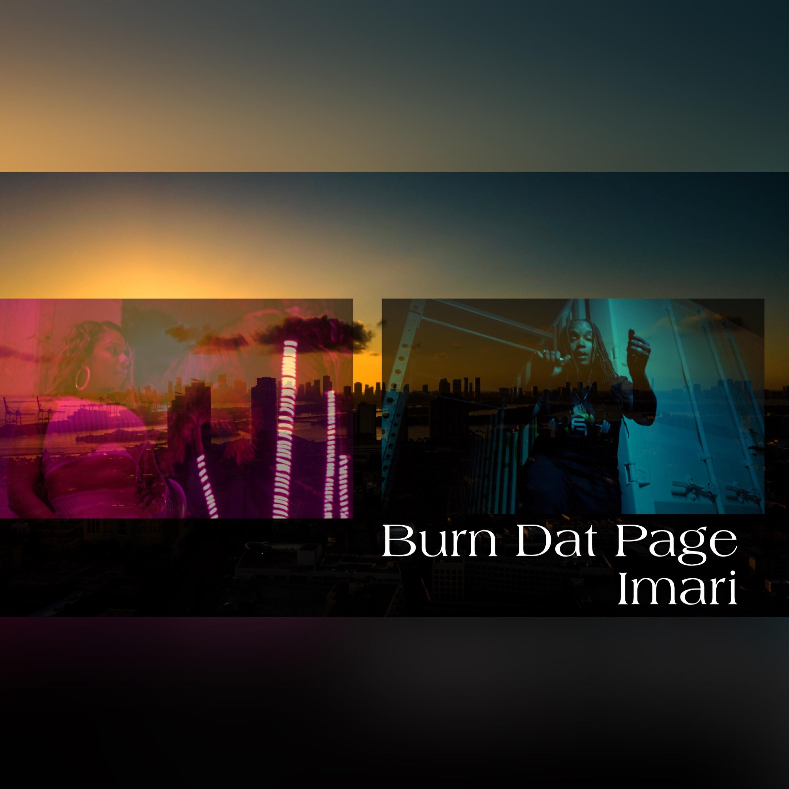 Релиз Burn Dat Page