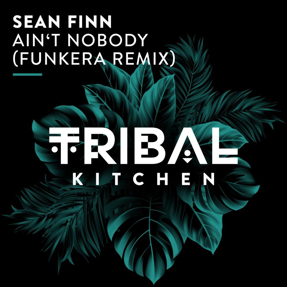 Релиз Ain't Nobody (Funkera Remix)