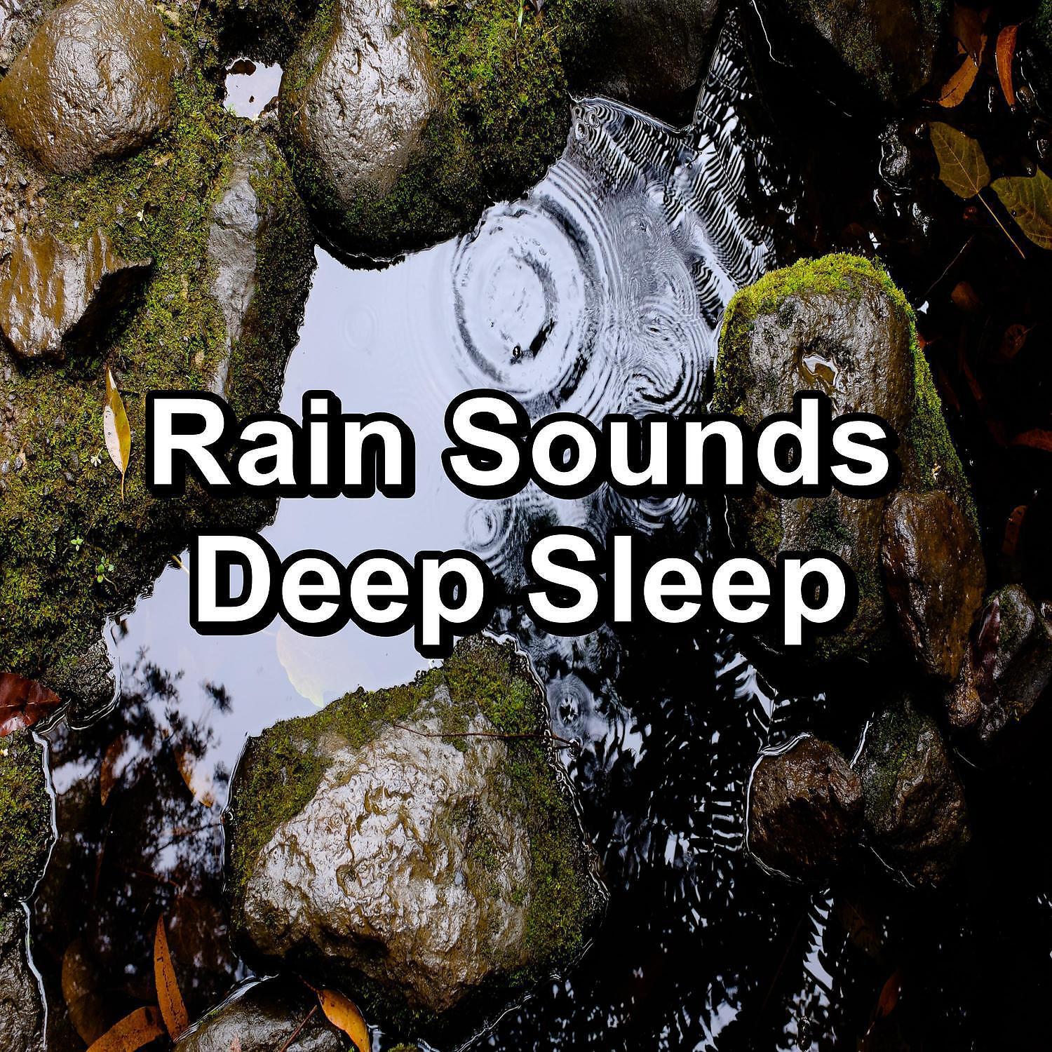 Релиз Rain Sounds Deep Sleep