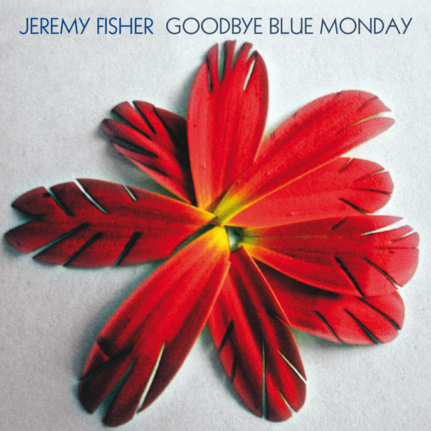 Релиз Goodbye Blue Monday