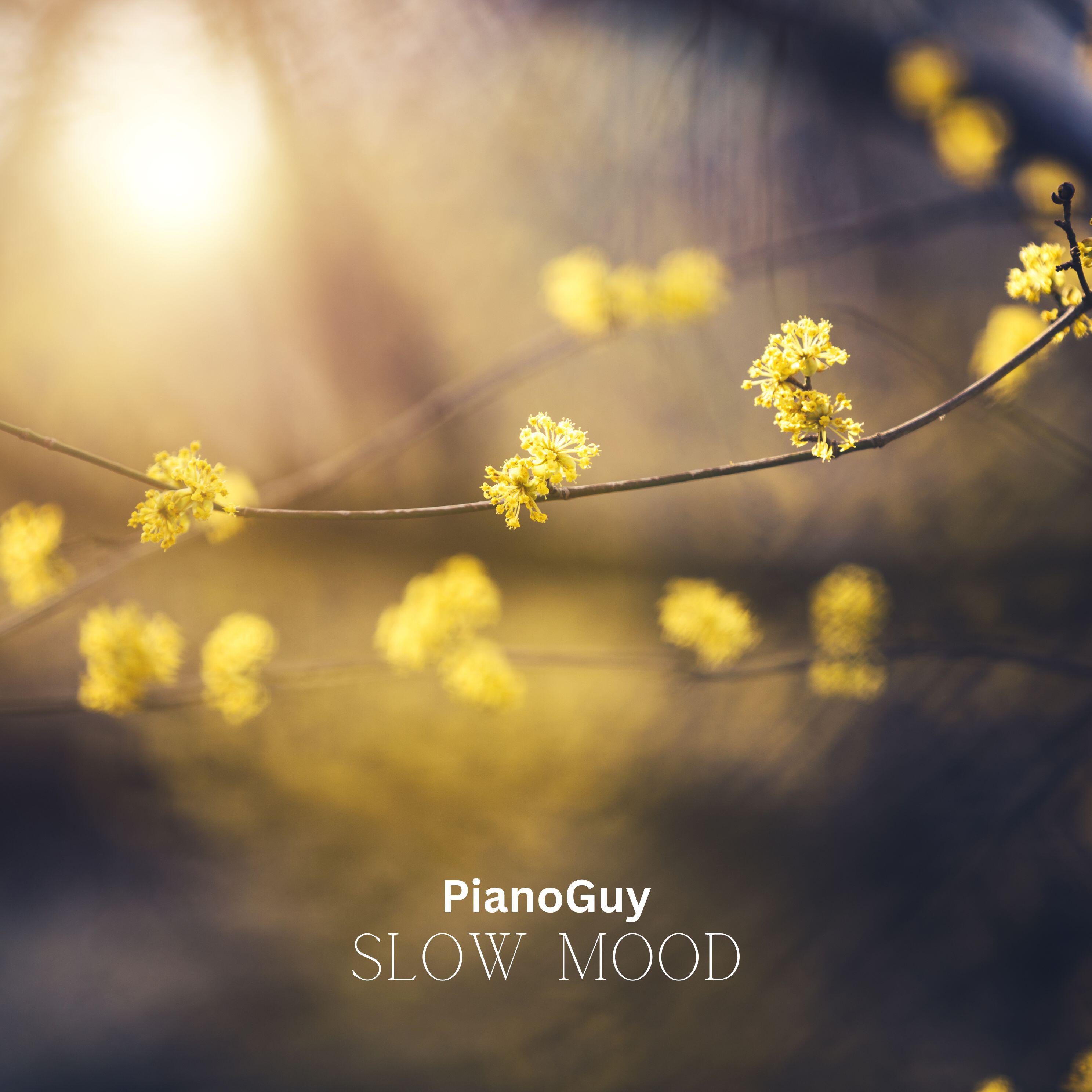 Релиз Slow Mood