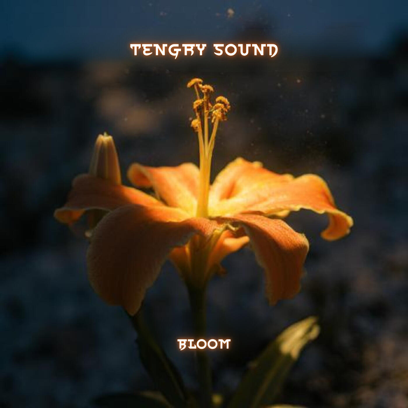 Релиз Bloom